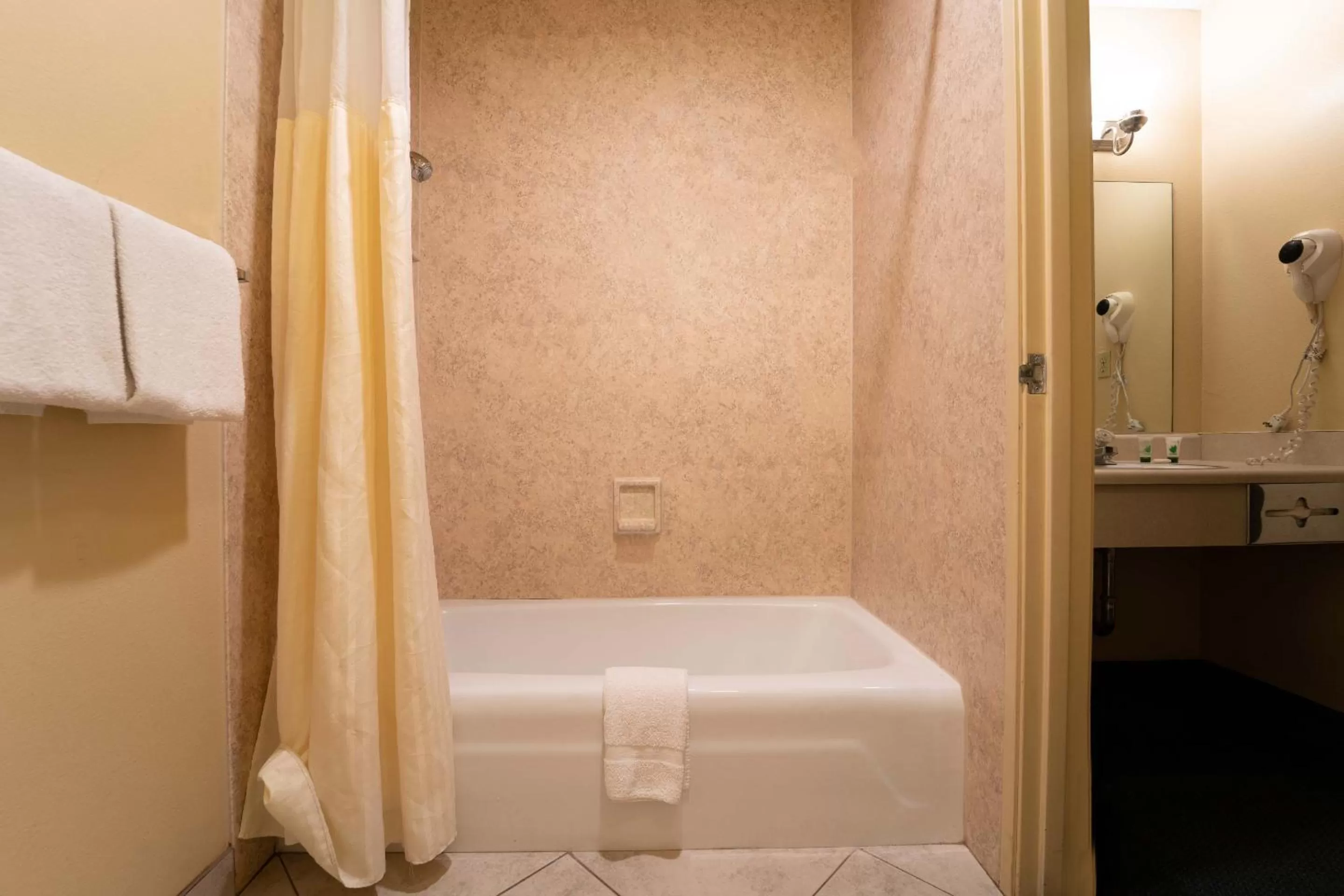 Bathroom in Royal Plaza Inn