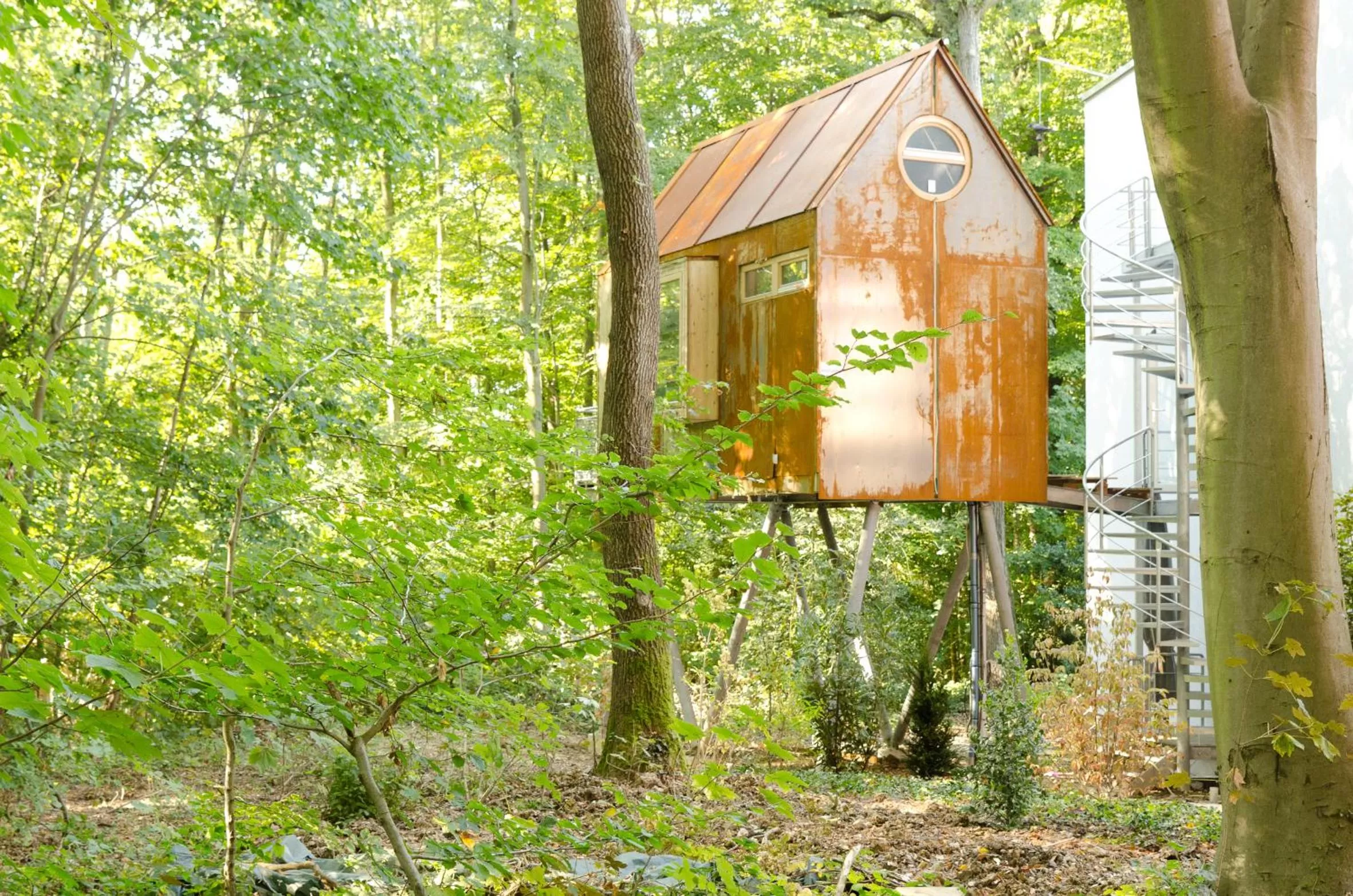 Tree House - single occupancy in V-Hotel