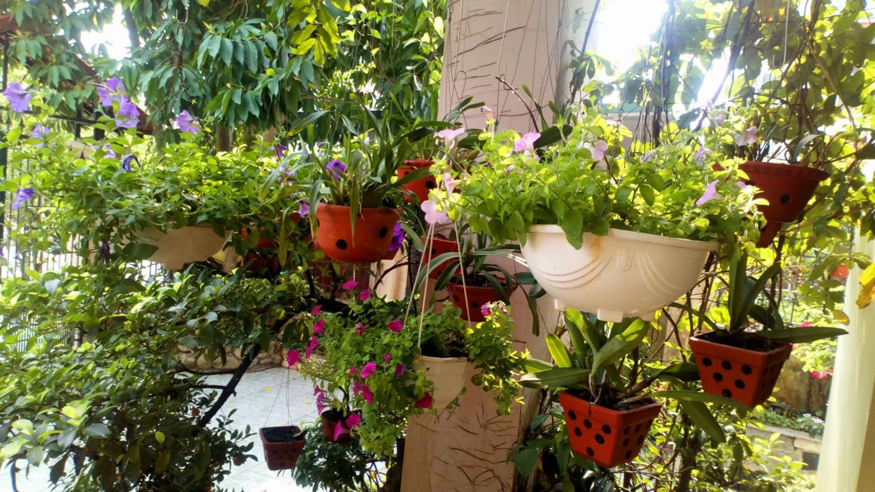 Patio in Hạ Long Lily Homestay