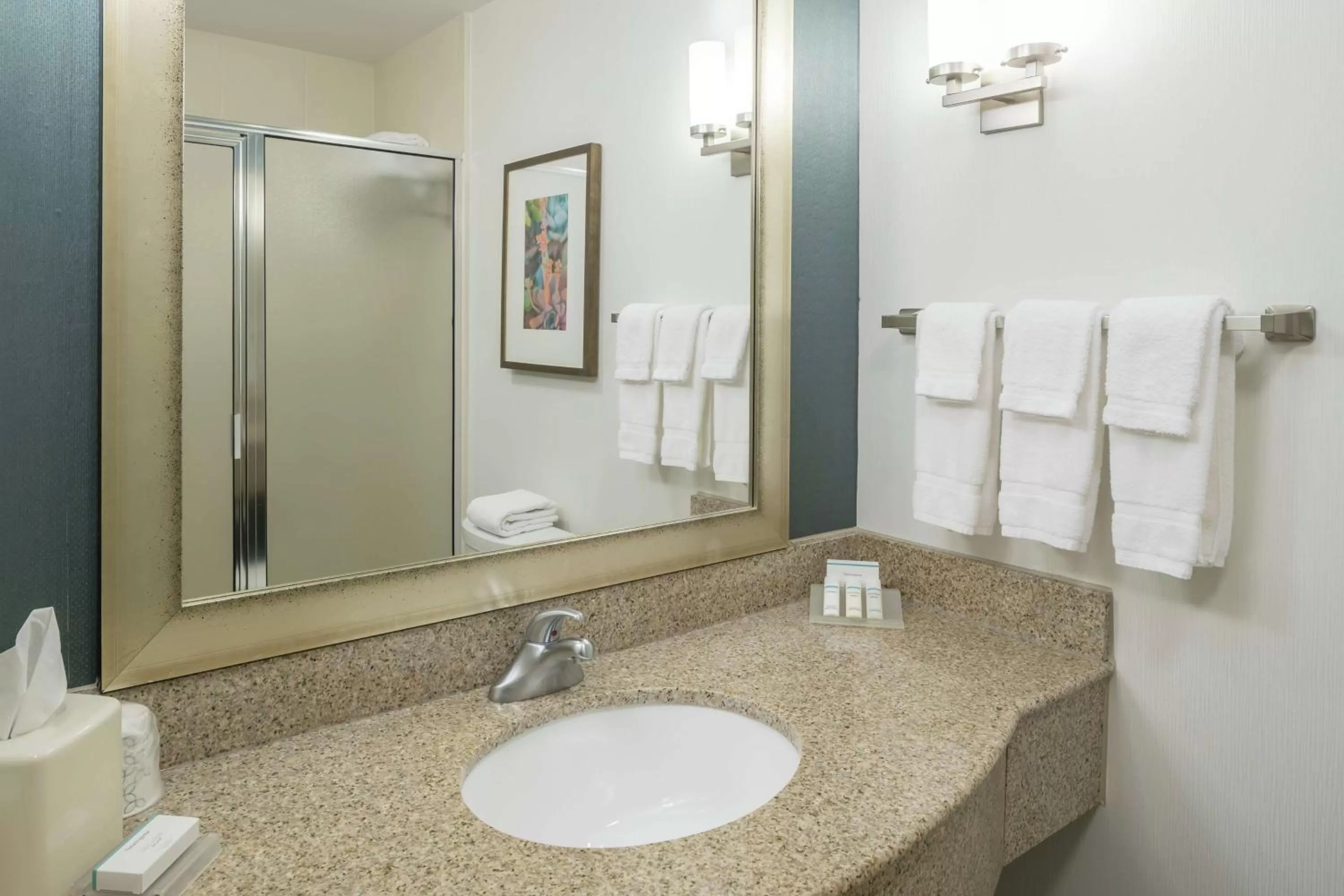 Bathroom in Hilton Garden Inn Dothan