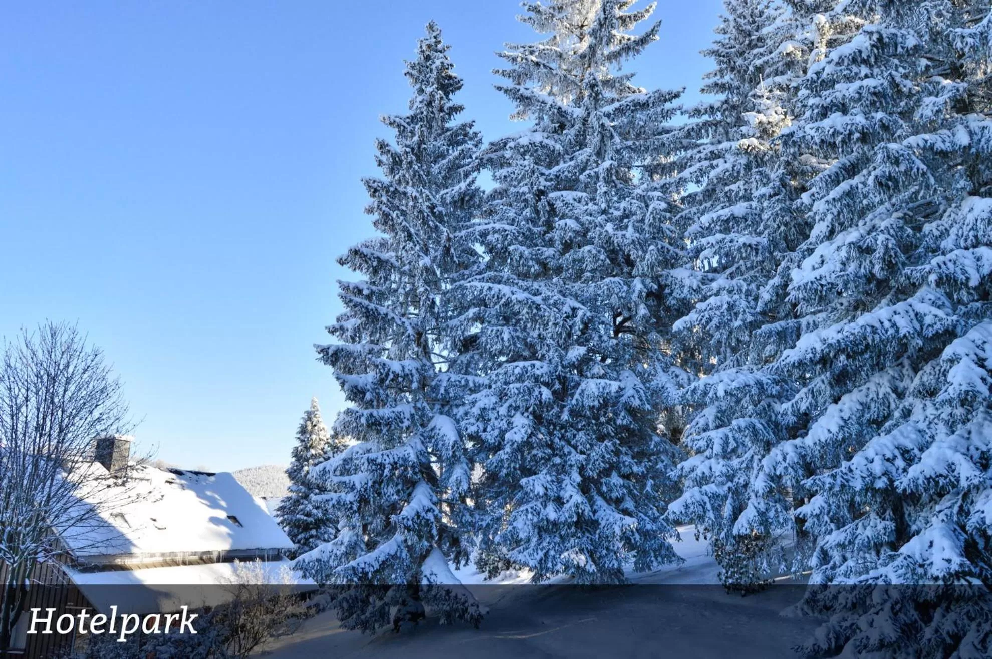 View (from property/room) in Erzgebirgshotel Misnia Bärenfels