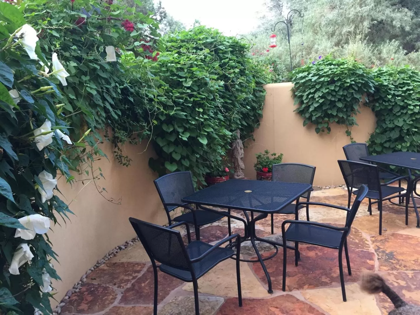 Patio in Red Moon Lodge