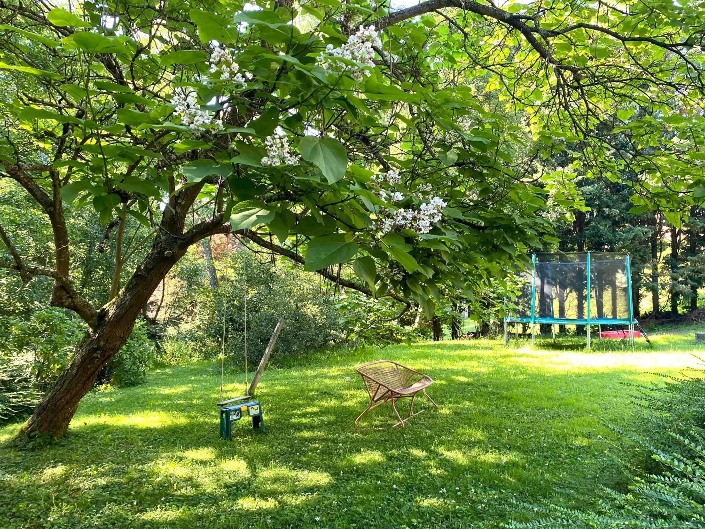 Garden in Les Cabanons