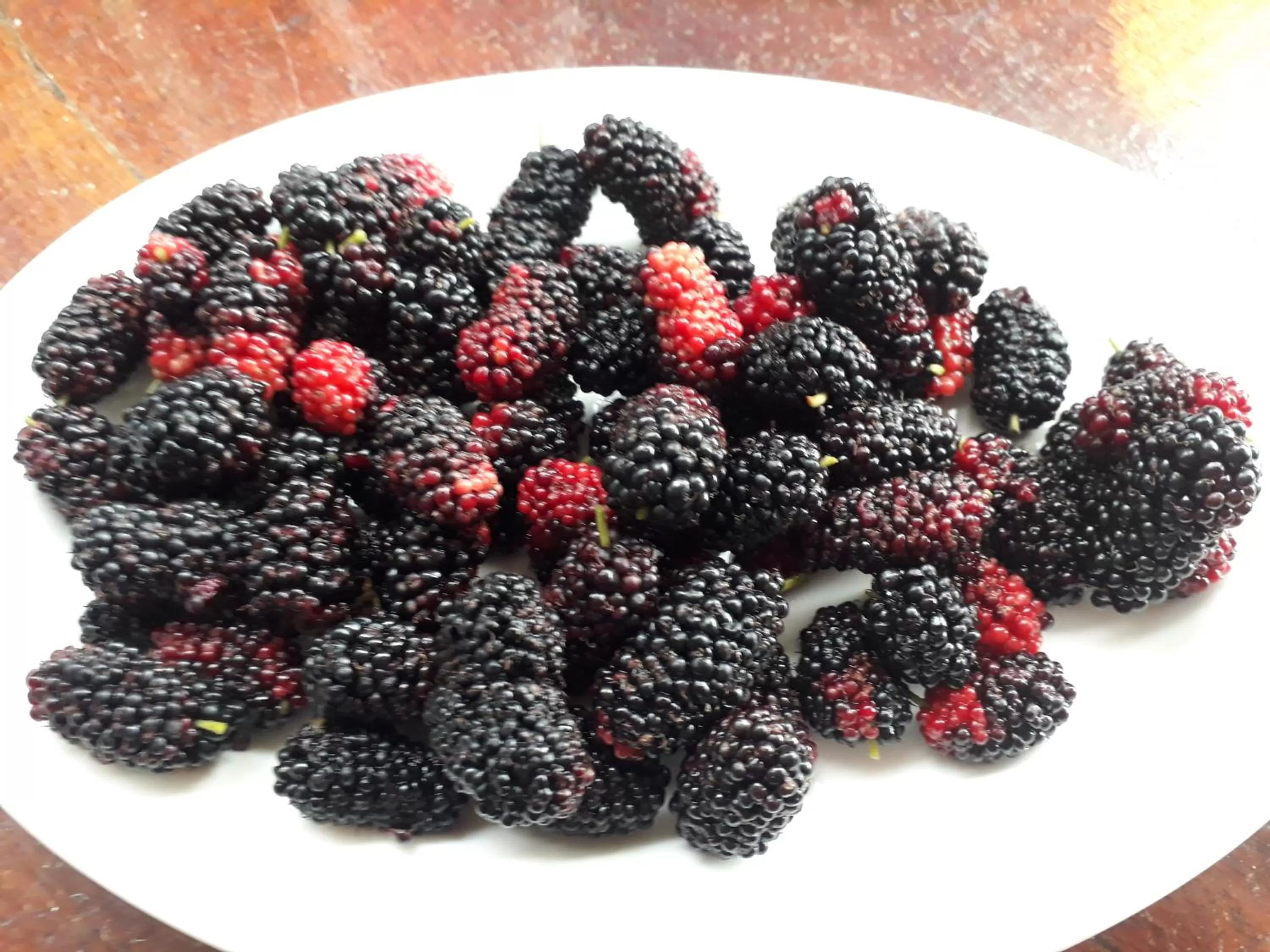 Food and drinks in Victoria Beach House