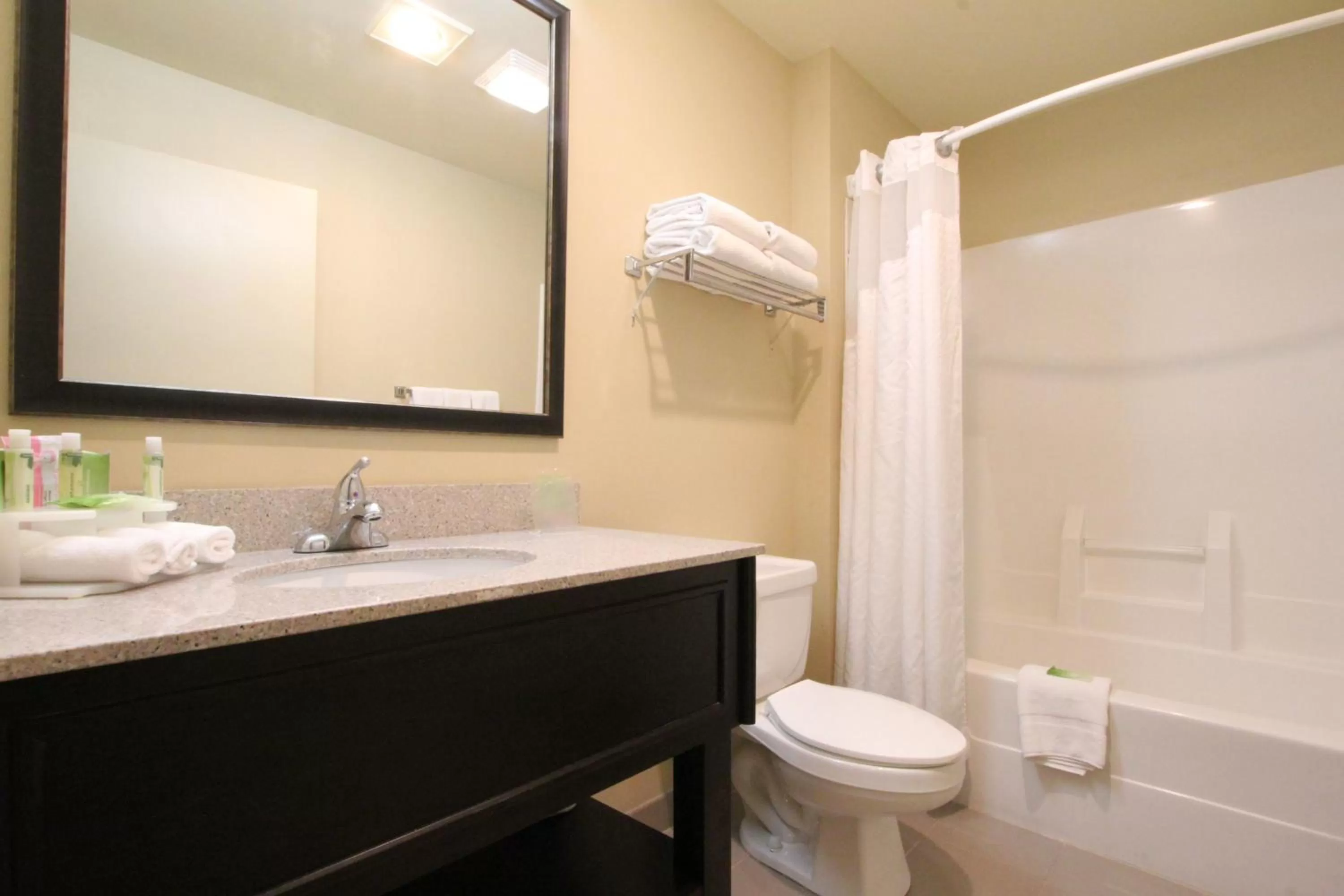 Bathroom in Holiday Inn Express & Suites Chicago-Libertyville by IHG