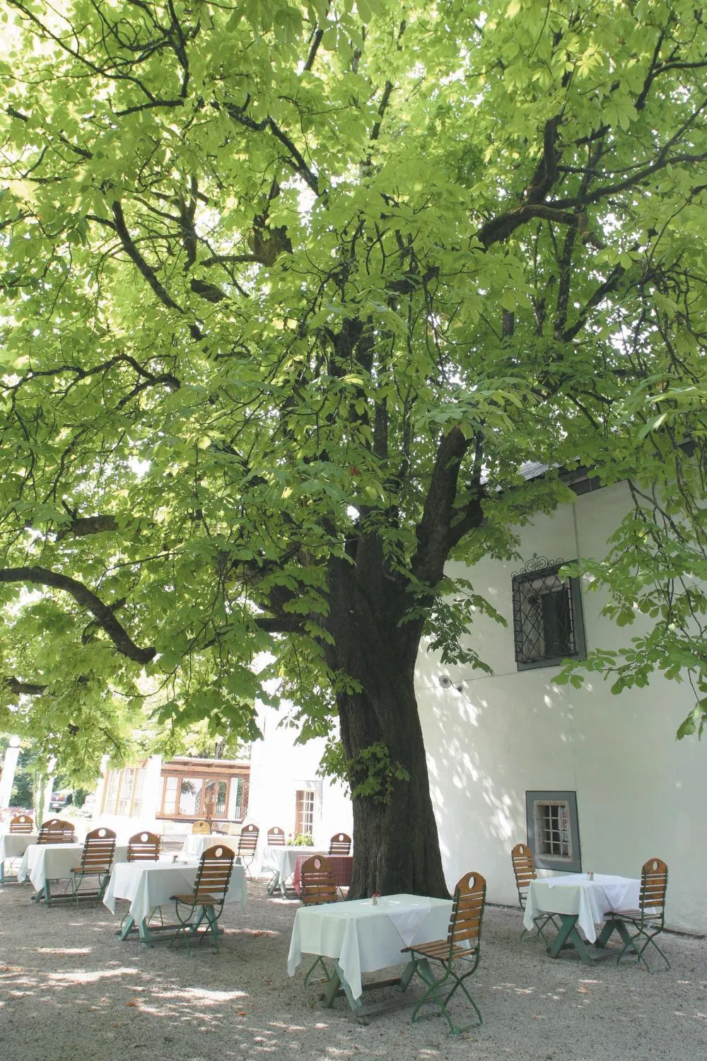 Restaurant/places to eat in Landhotel Agathawirt