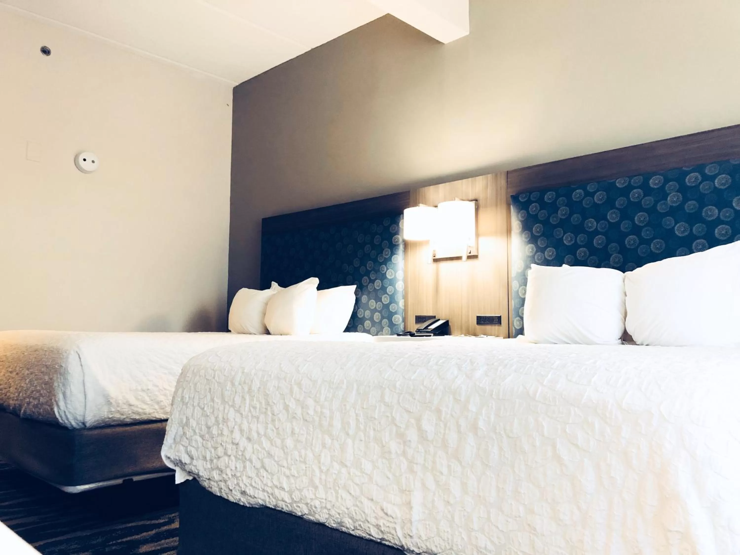 Bed in Comfort Inn & Suites Greenville Near East Carolina University