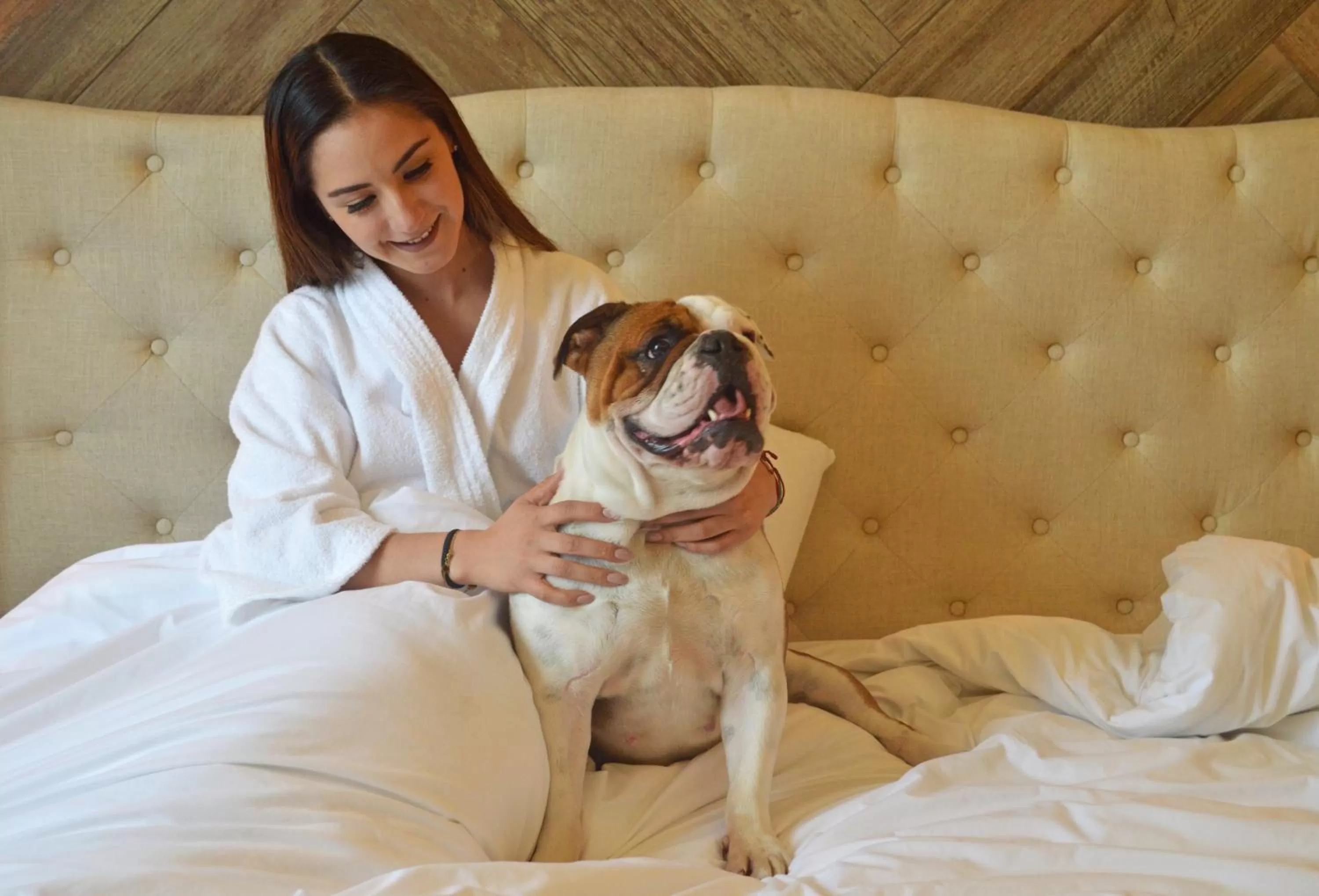 Pets in Casa Basalto