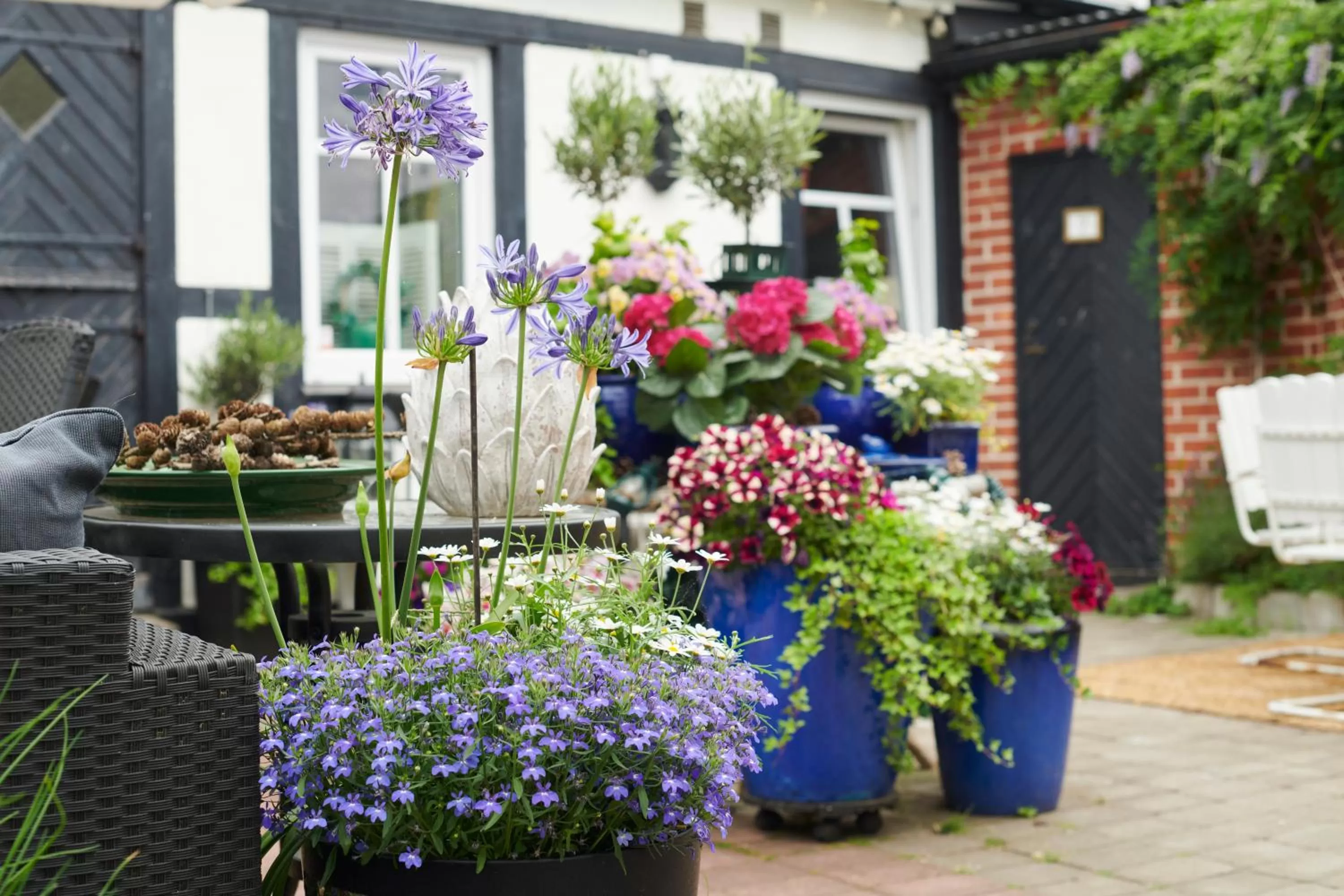 Patio in Hotell Bäckagården