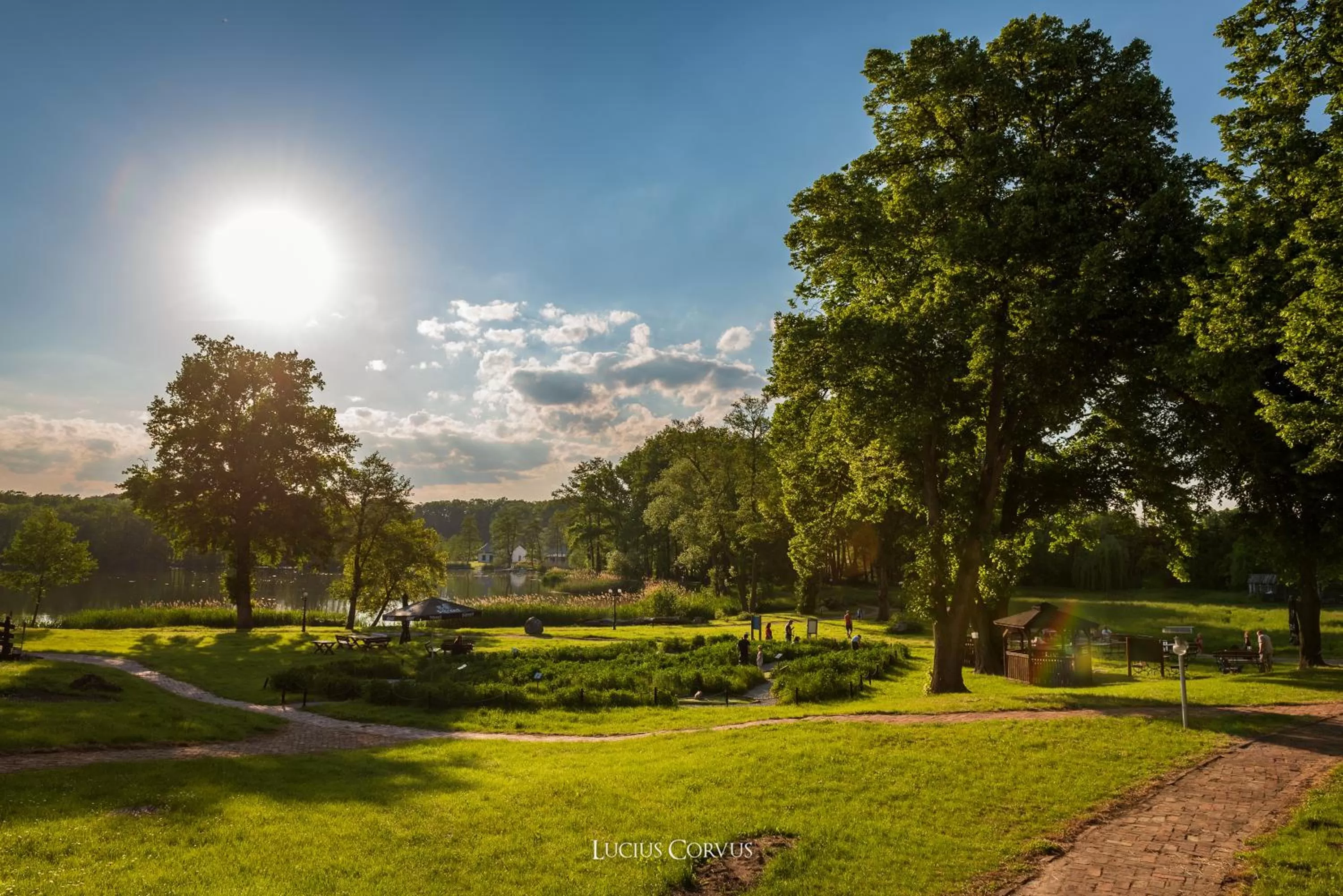 Windsurfing in Olandia