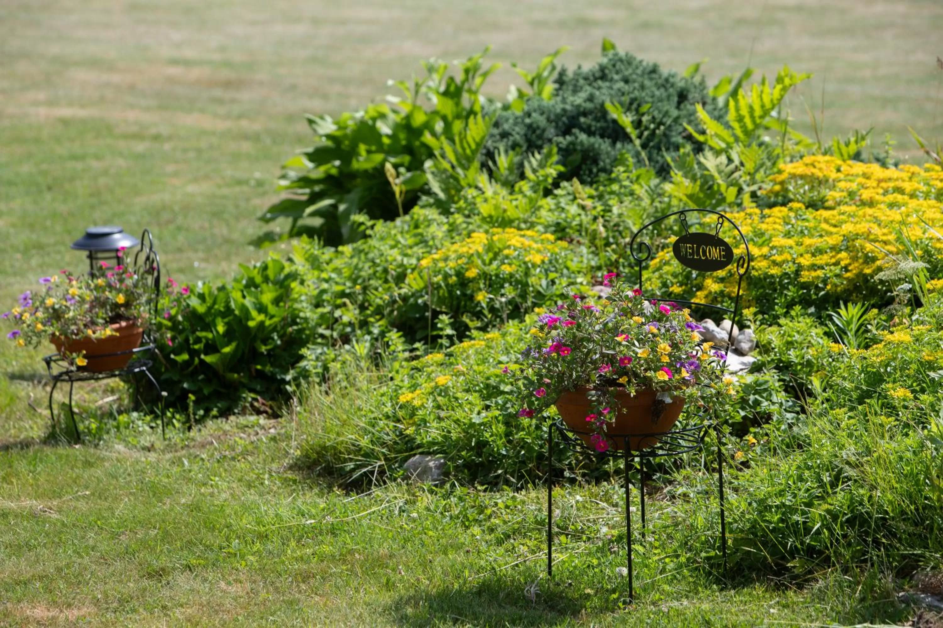Natural landscape in Governor's Rock Motel
