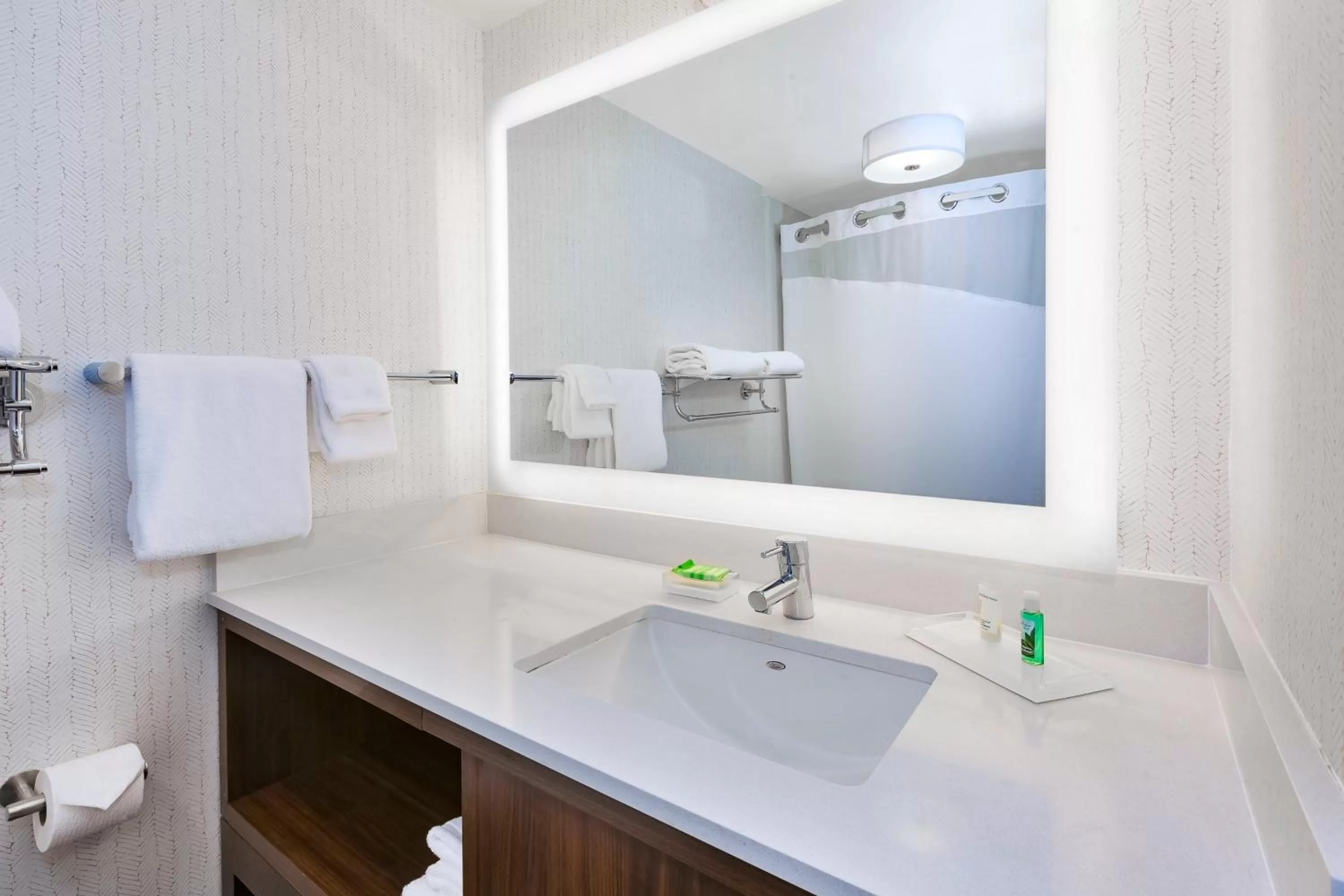 Bathroom in Holiday Inn Grand Rapids Downtown by IHG