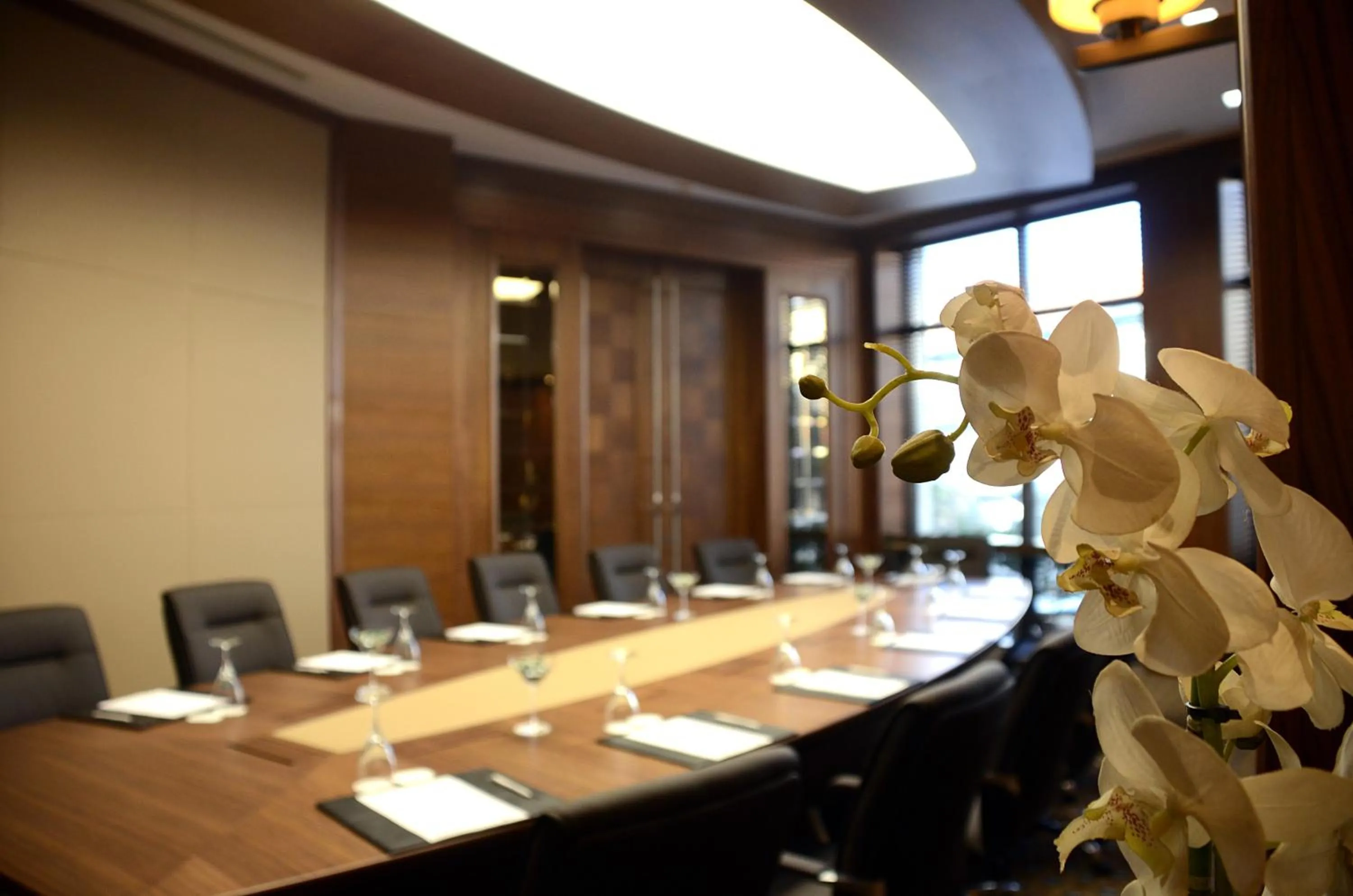 Business facilities in Marigold Thermal & Spa Hotel Bursa