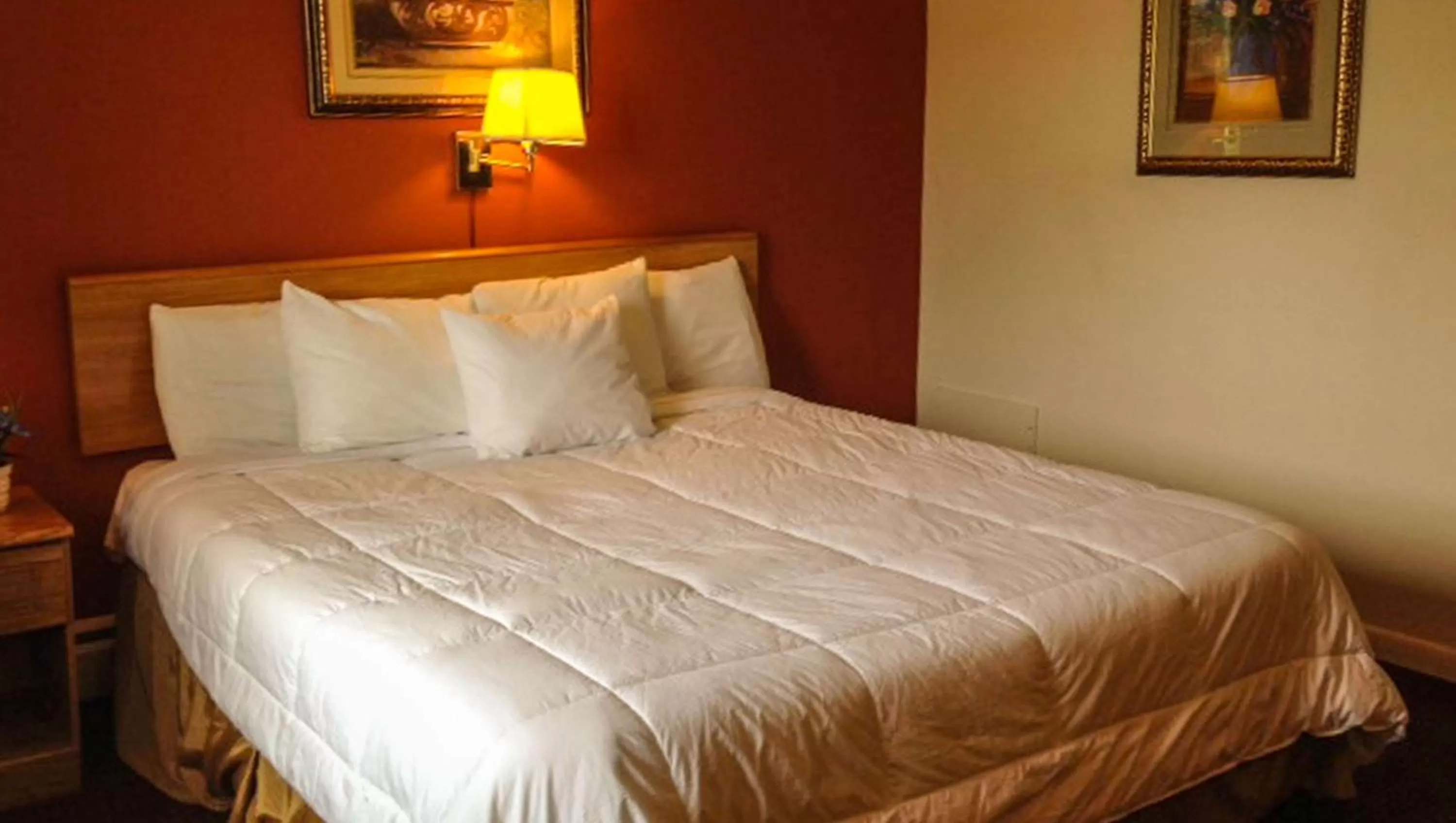 Photo of the whole room, Bed in Rodeway Inn