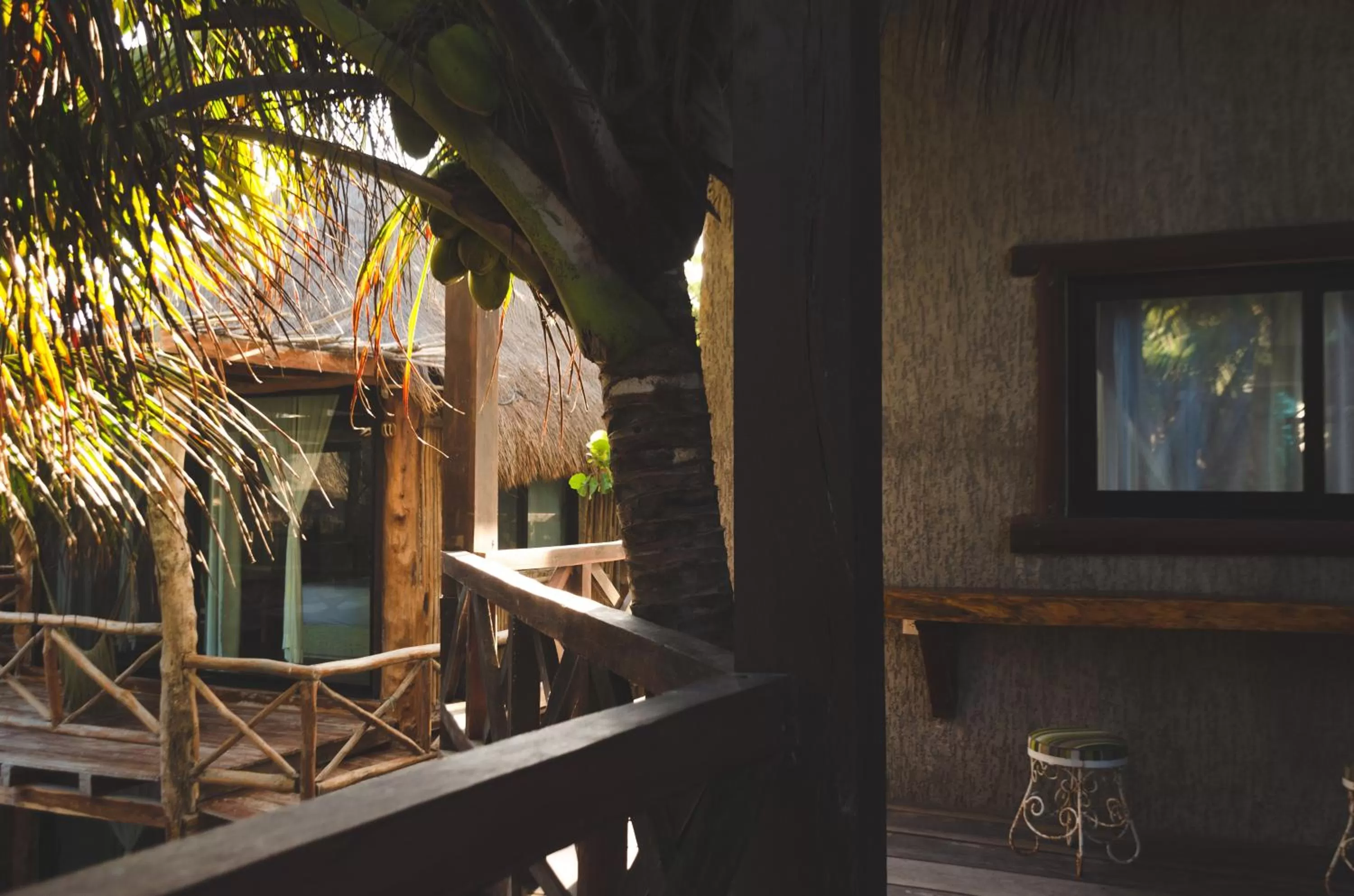 Garden view in Hotelito Azul