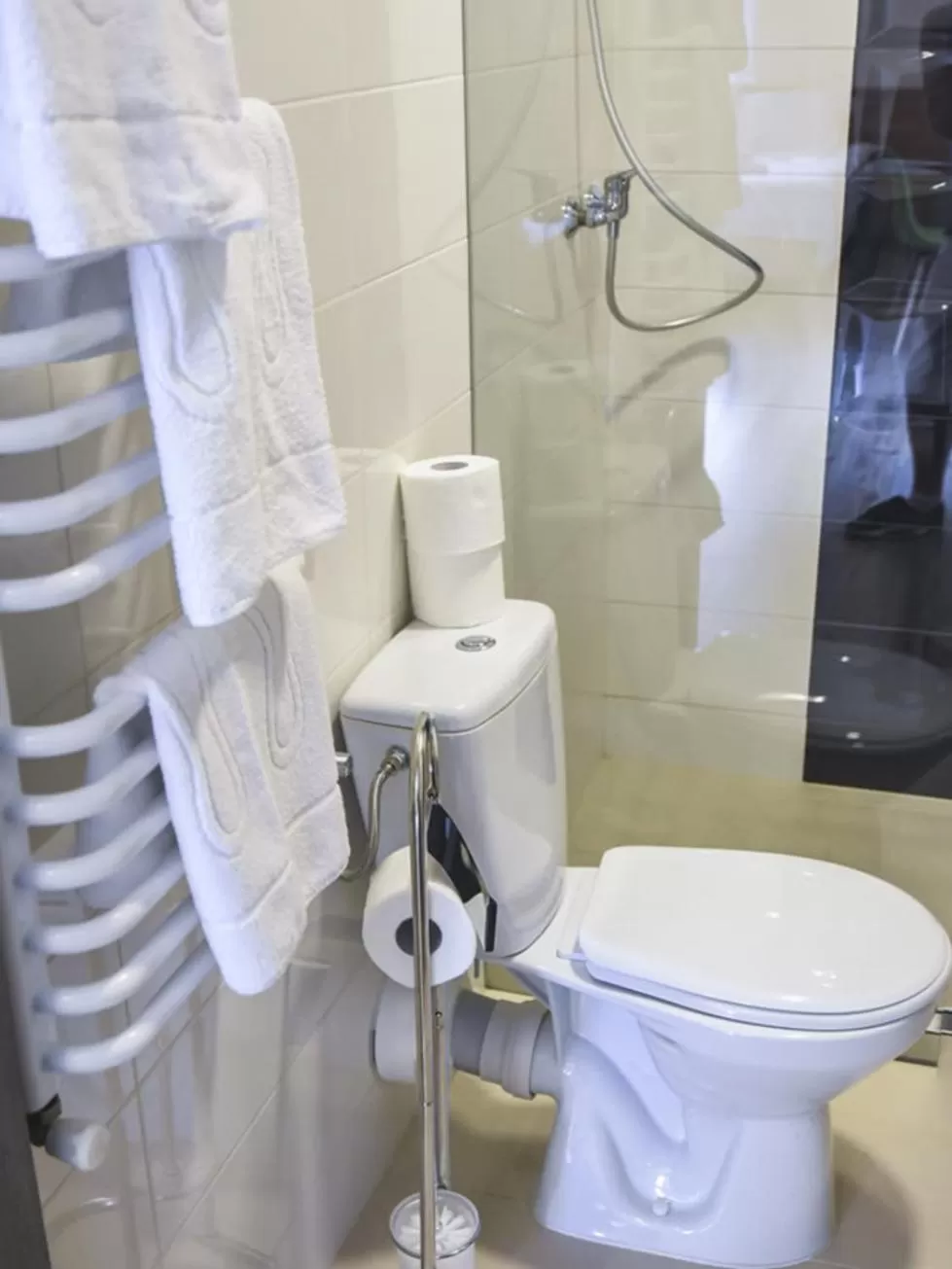 Shower in Willa Szczepaniakówka