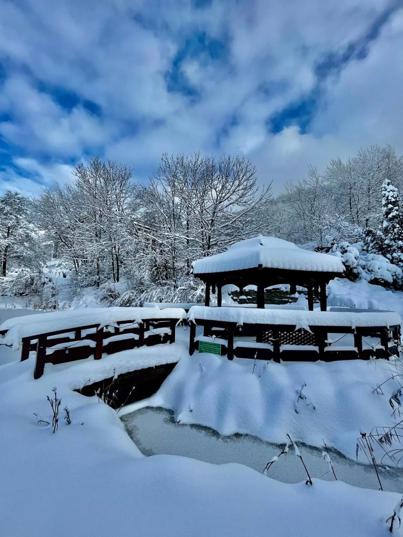 Natural landscape in Hotel Belweder
