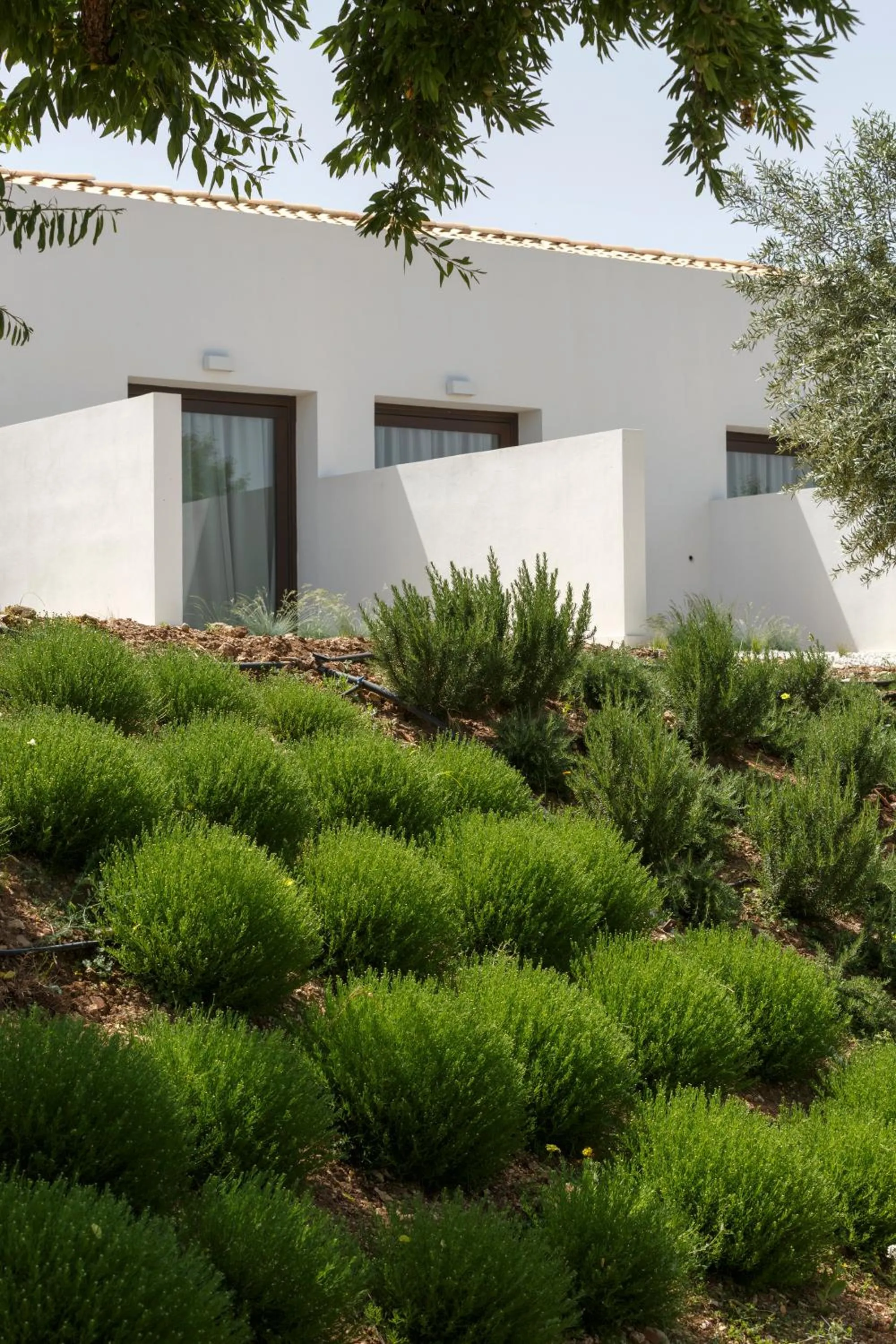 Balcony/Terrace in Southeast Hotel