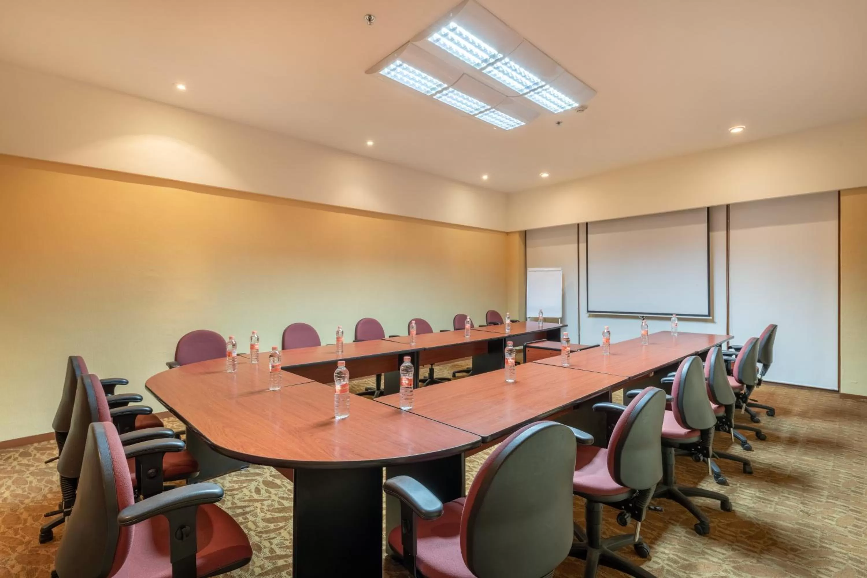 Meeting/conference room in Holiday Inn Guadalajara Expo Plaza del Sol by IHG