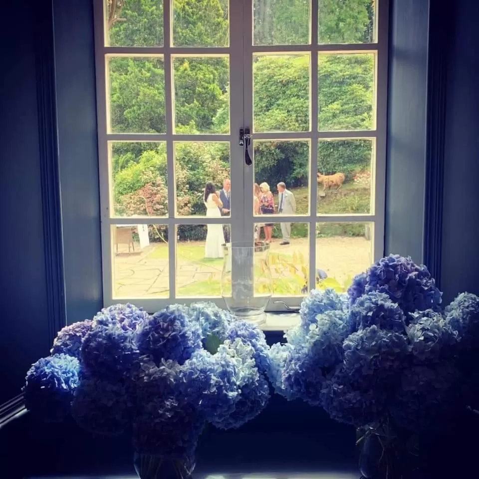 Summer in Boscundle Manor