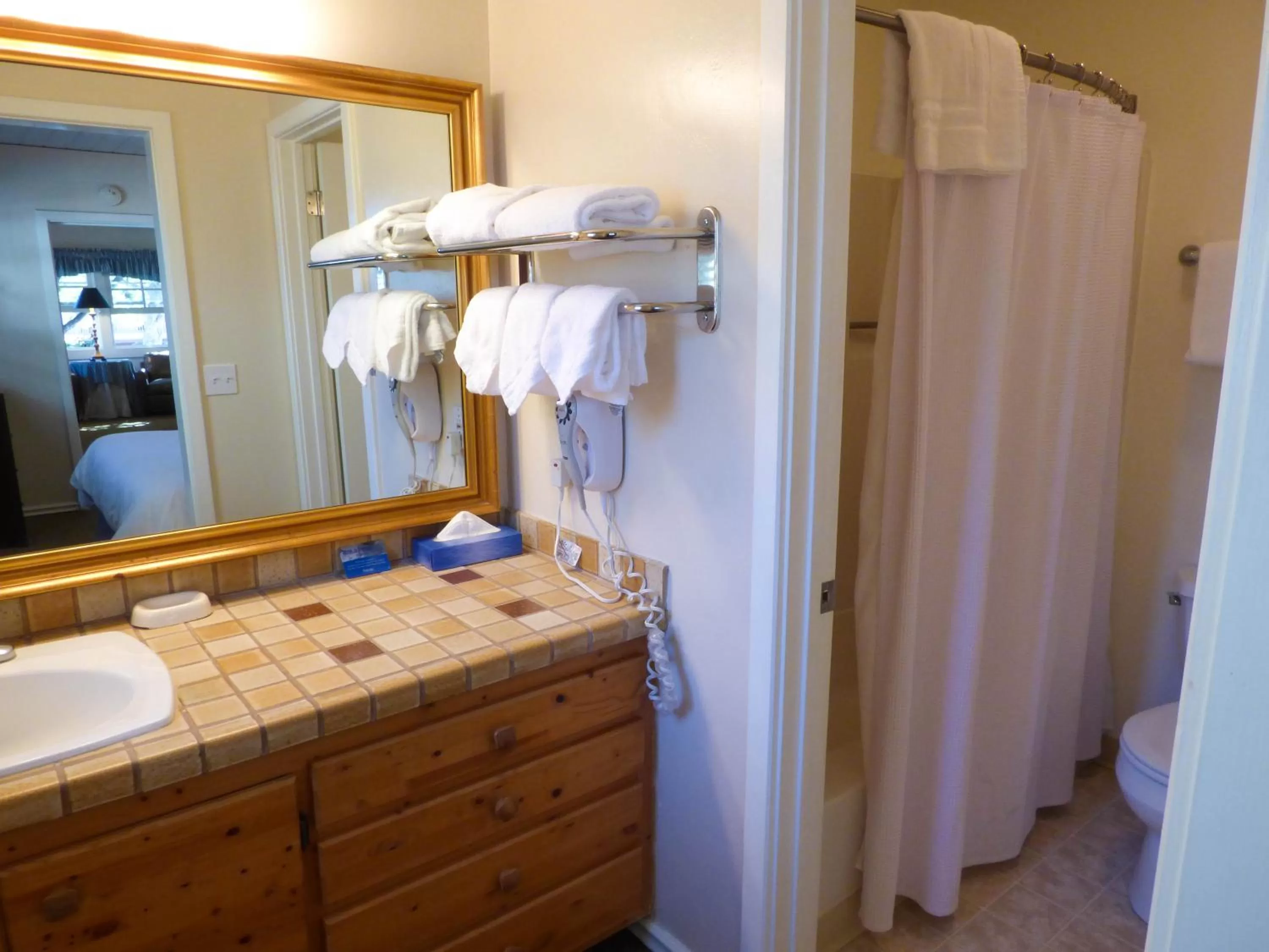 Shower, Bathroom in Briarwood Inn