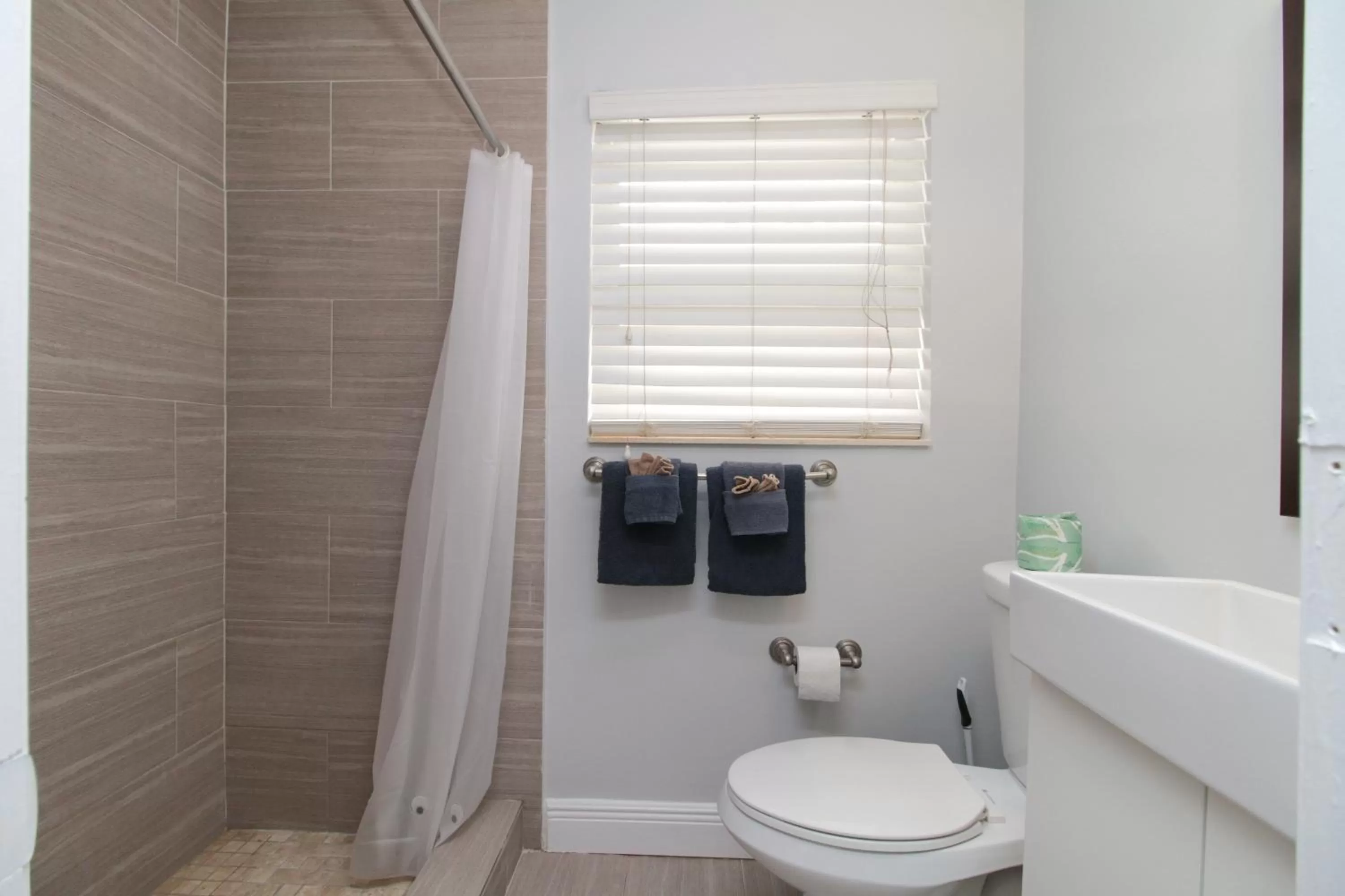 Other in The Dolphin Hollywood