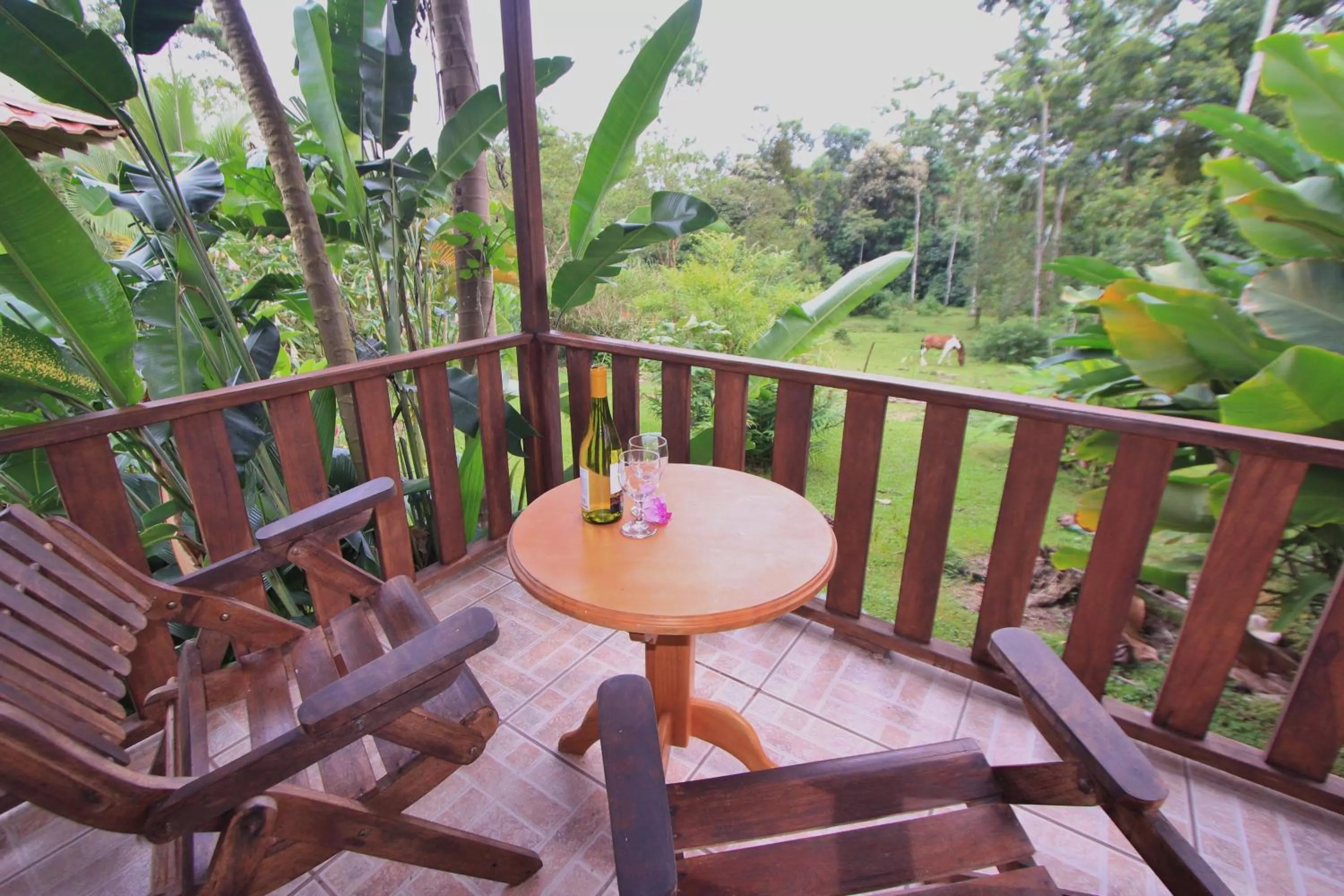 View (from property/room) in Hotel Rancho Cerro Azul