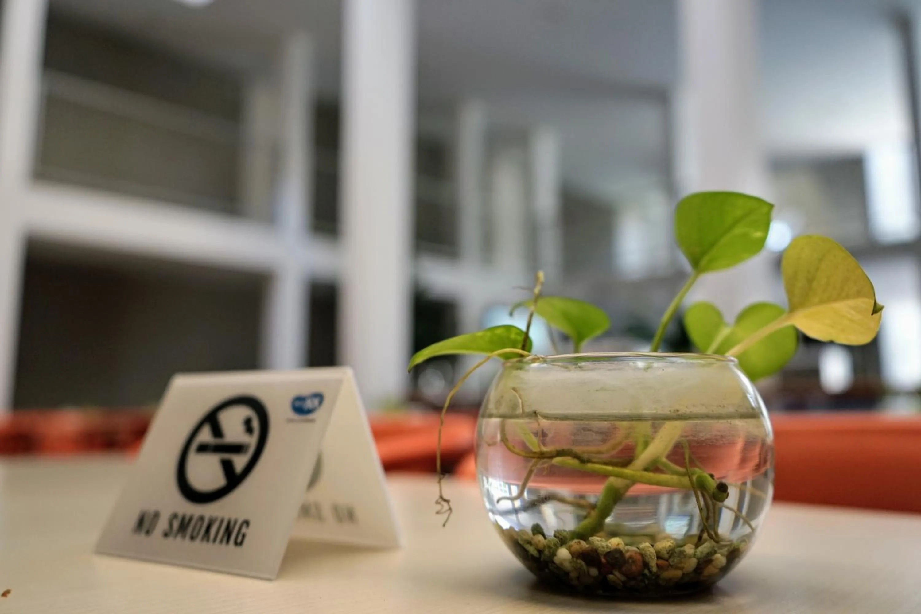 Malaka Hotel Bandung