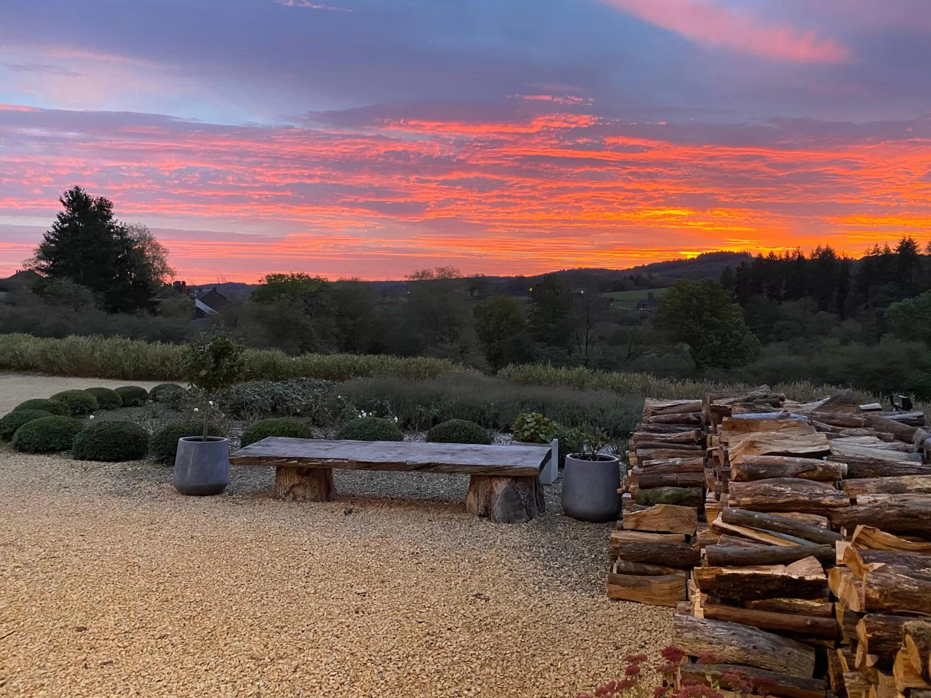 Natural landscape in B&B Le Briquemont