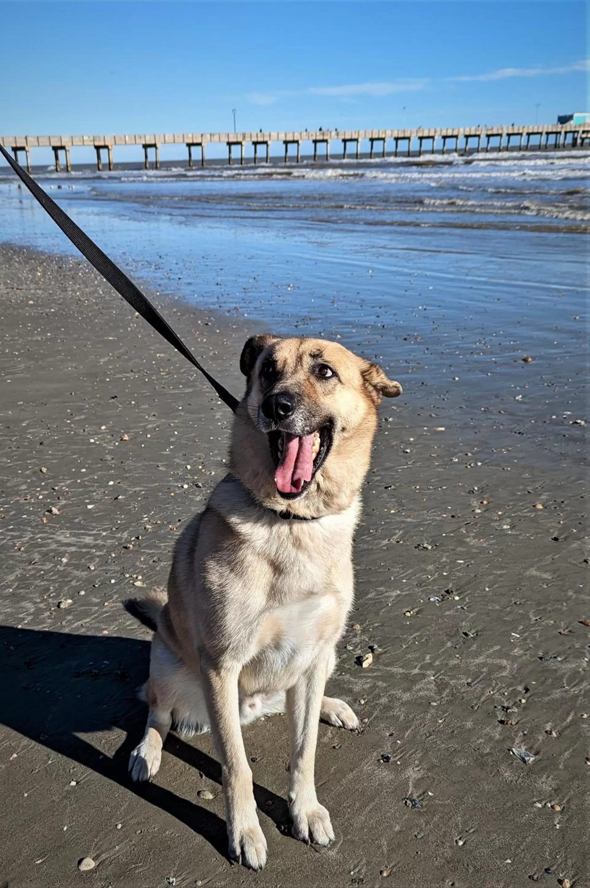 Beach in The 1890 Freeman House