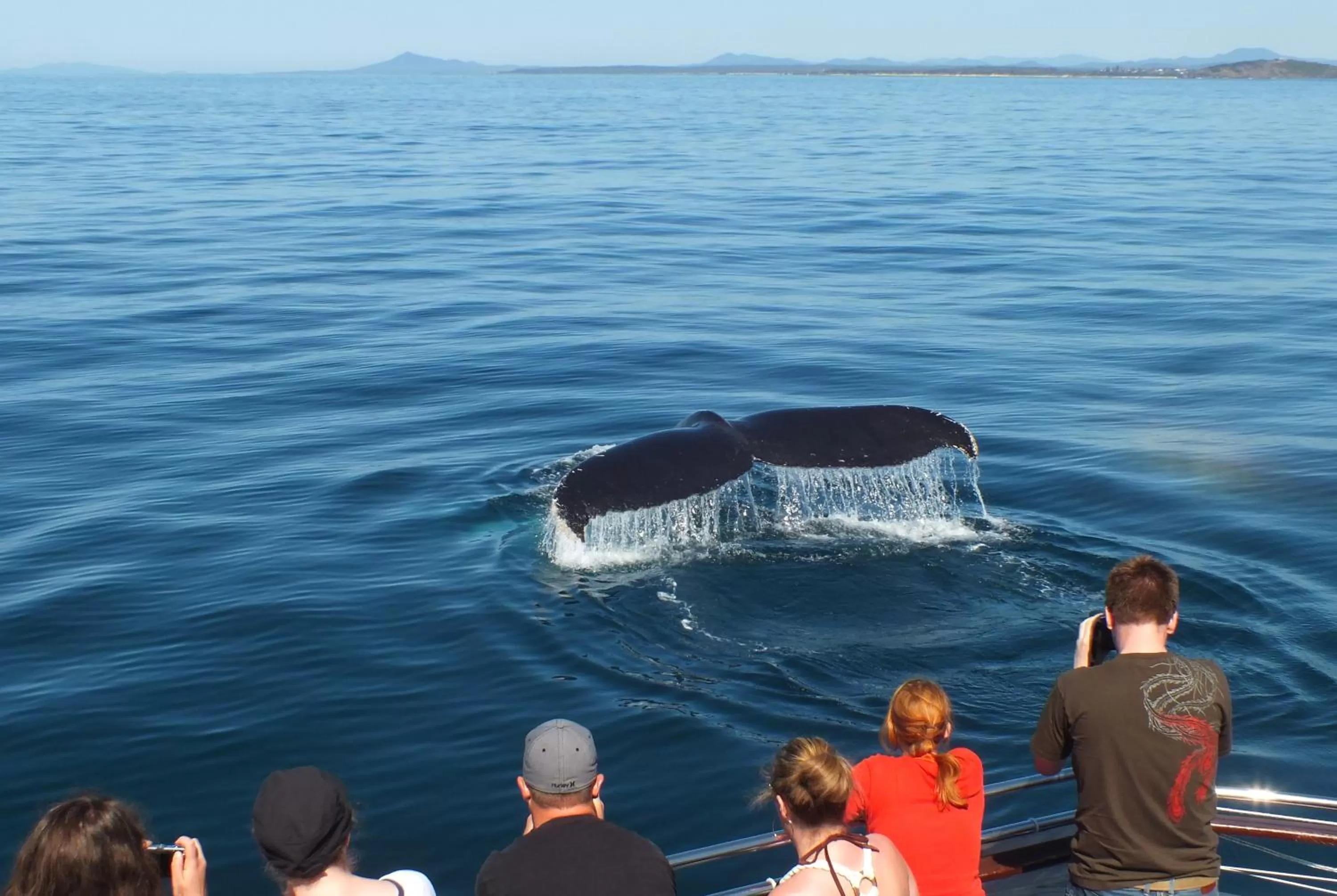 Area and facilities in Pacific Marina Apartments