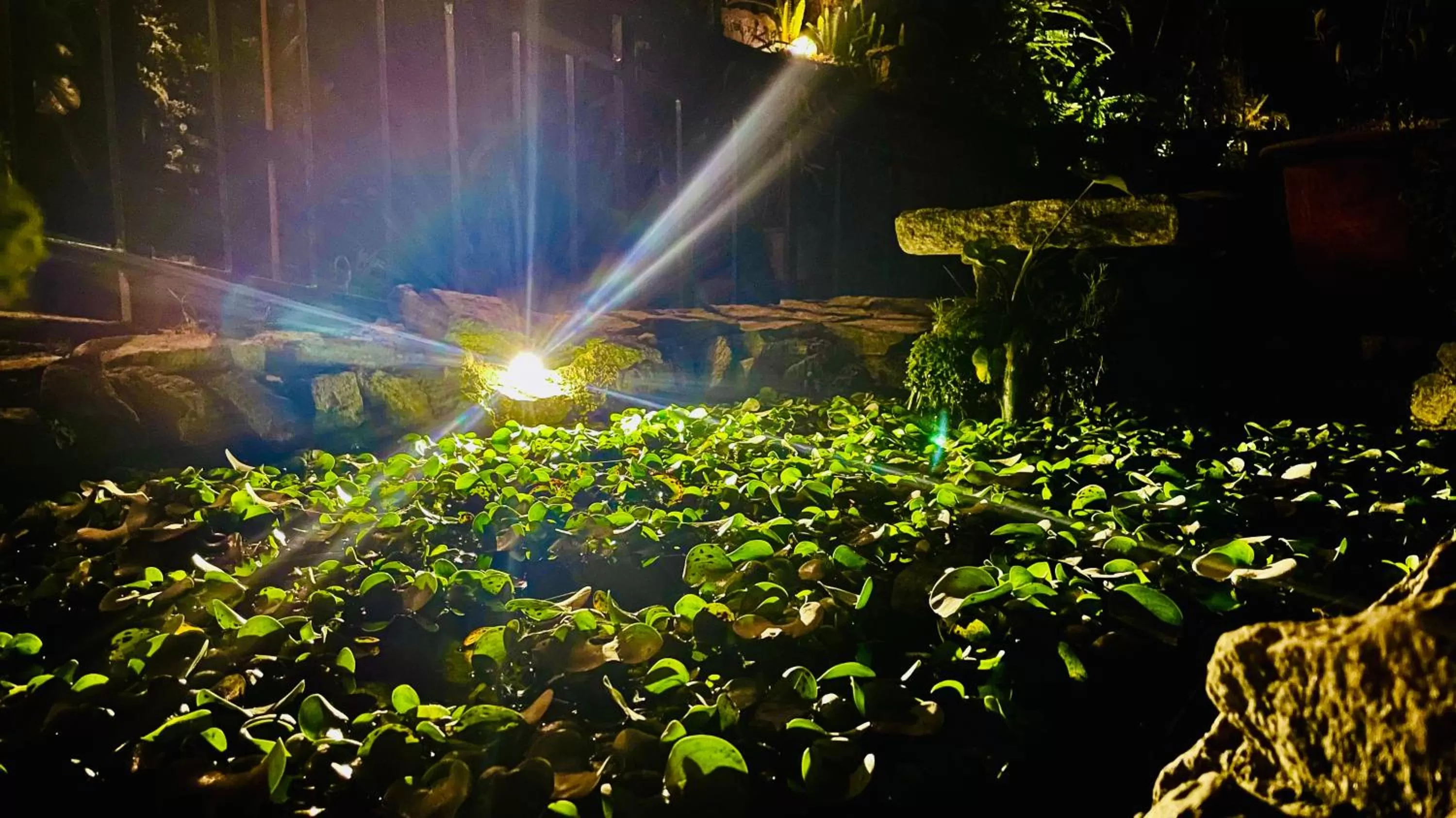 Garden in Noblestride Resort