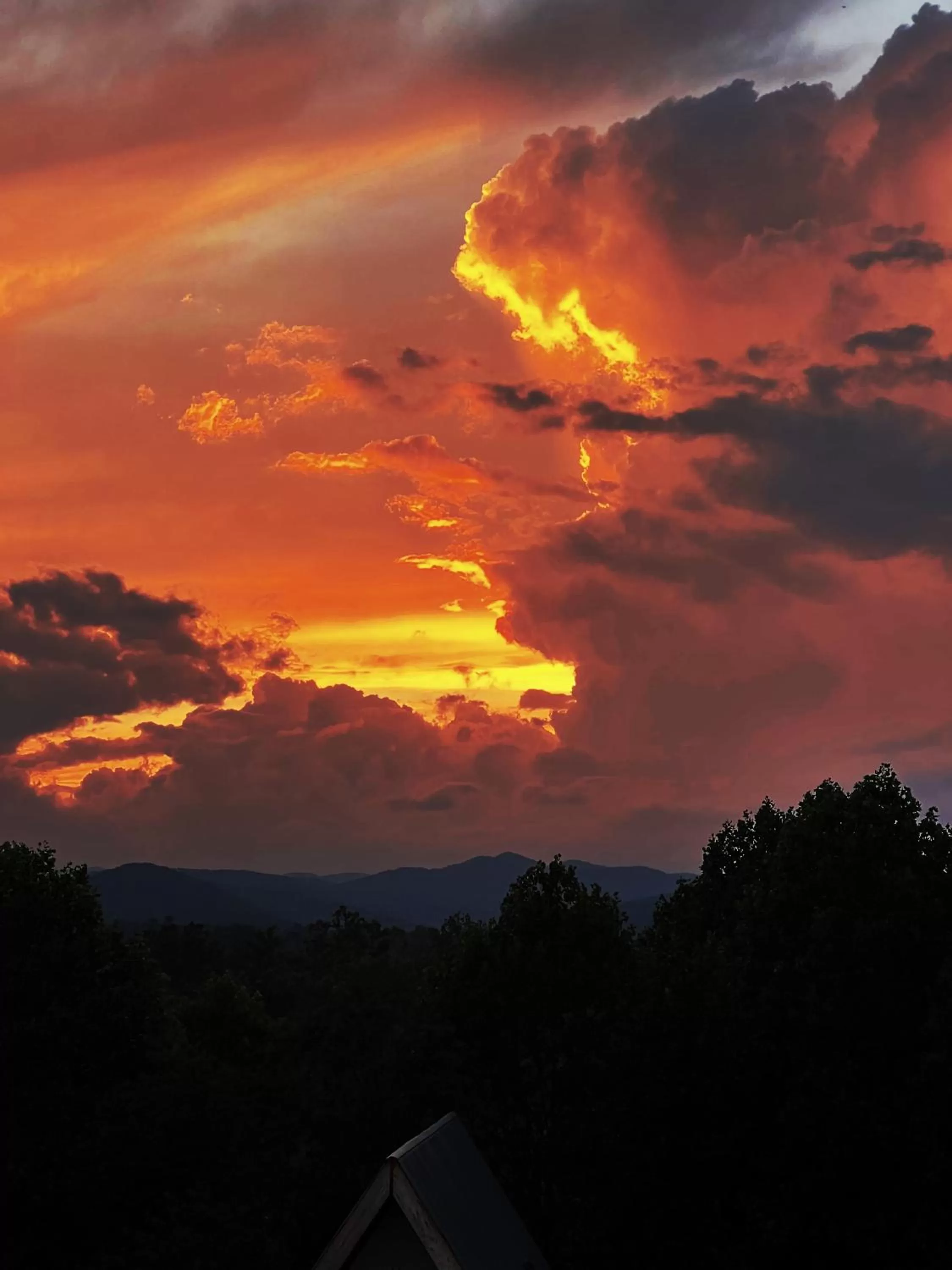 Restaurant/places to eat in SKYLARANNA Resort & SPA