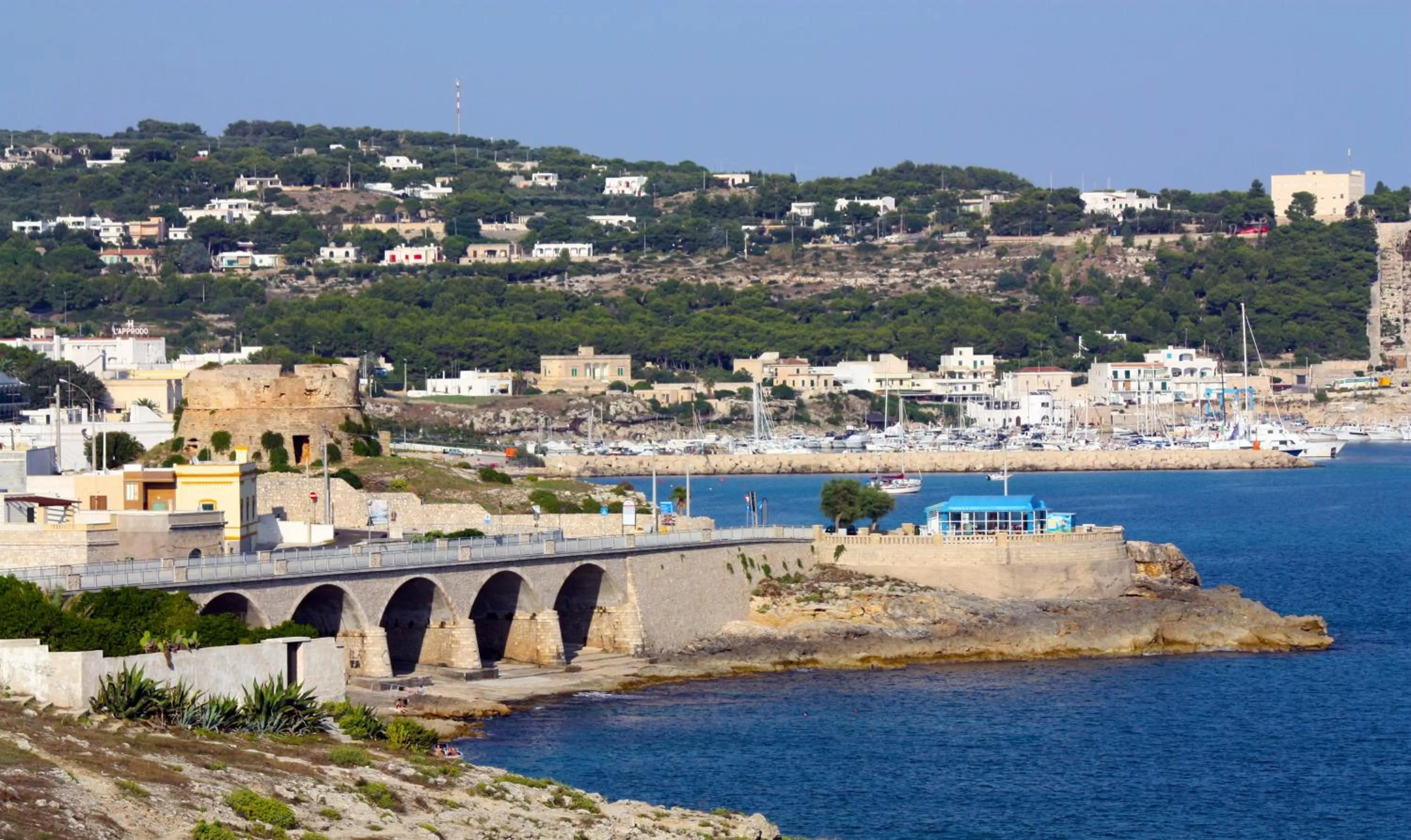 Area and facilities in Hotel Terminal - Caroli Hotels