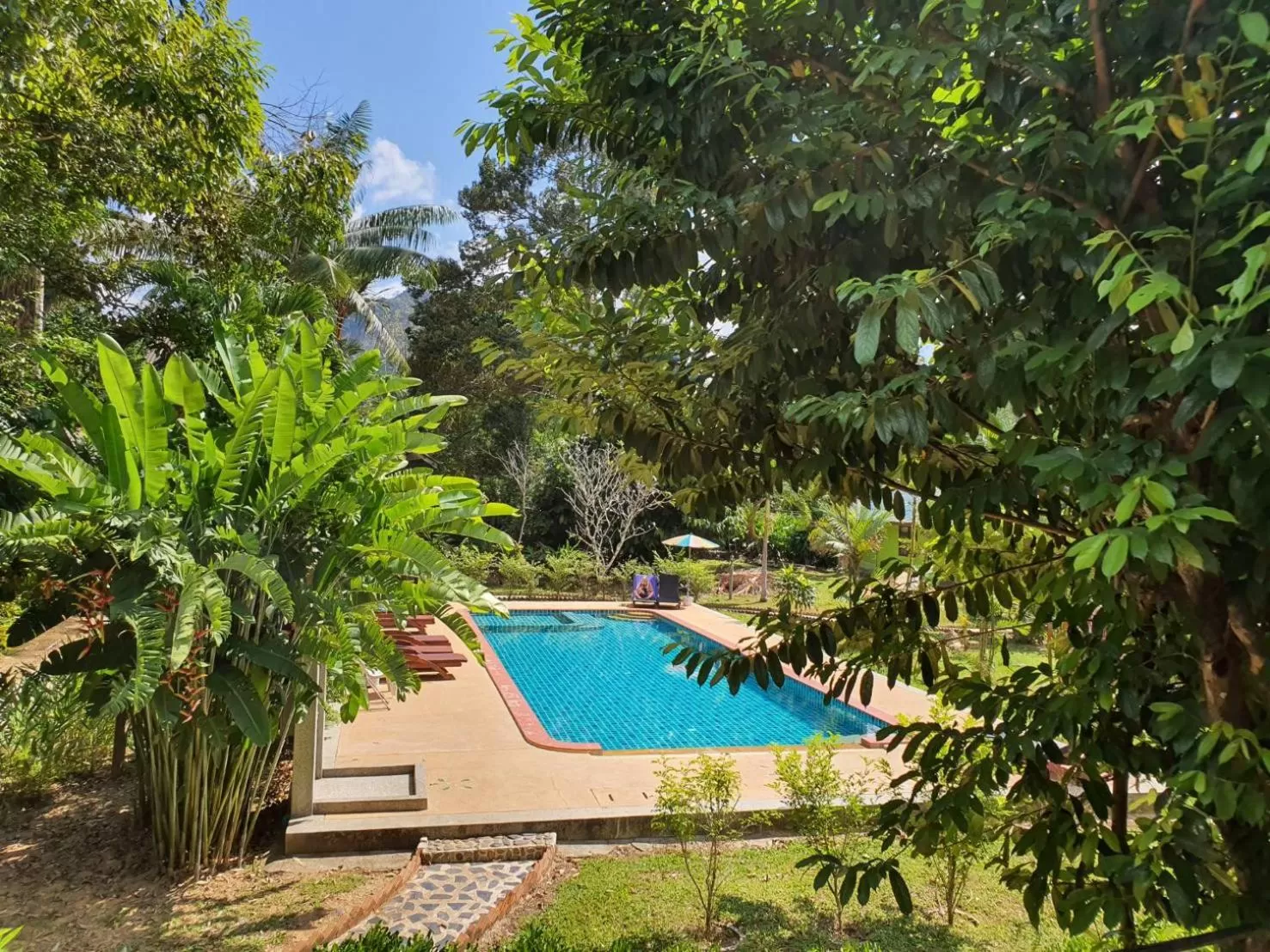 Pool view in Tree Tops River Huts