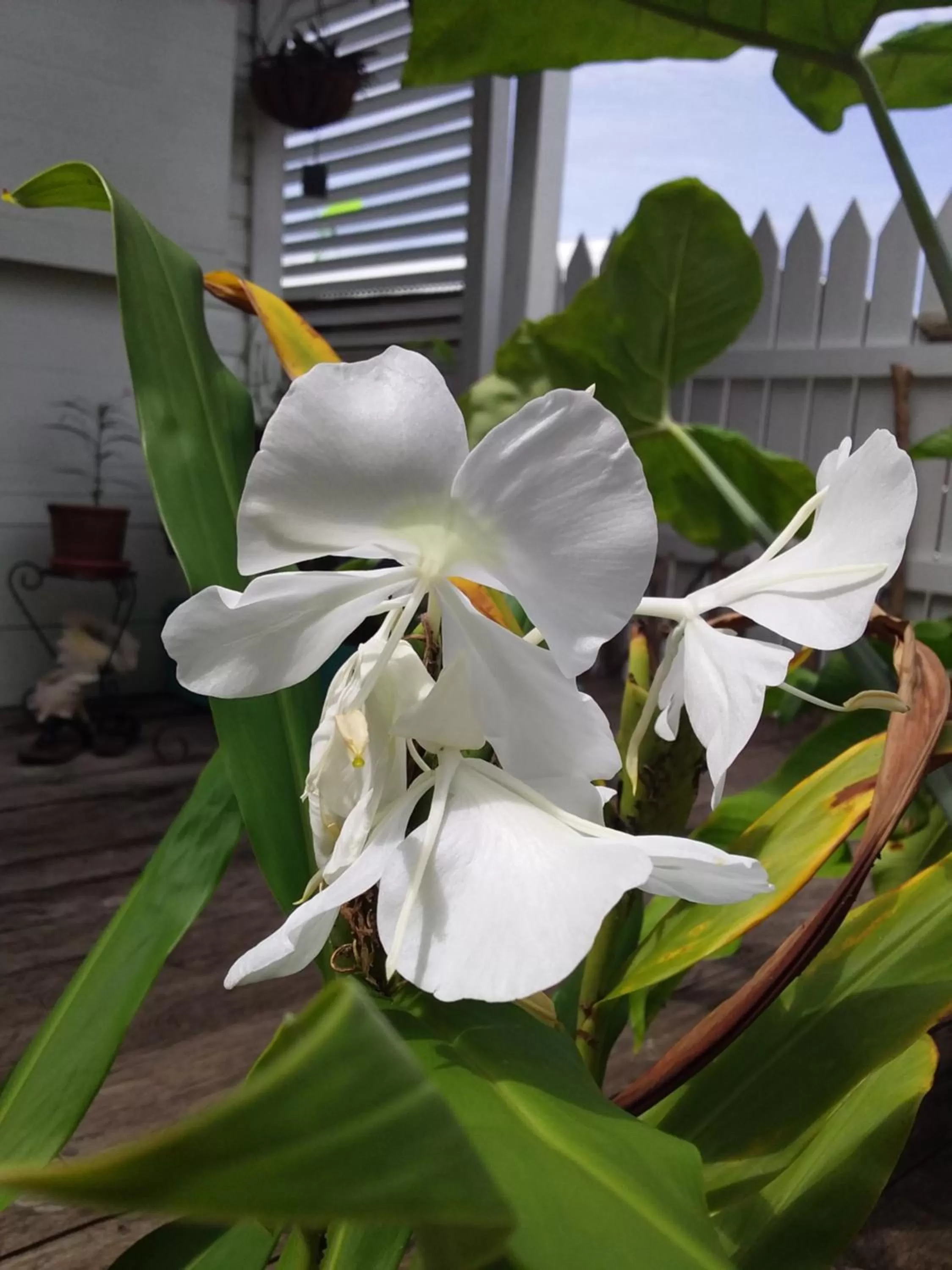 Property building in RIVA B&B