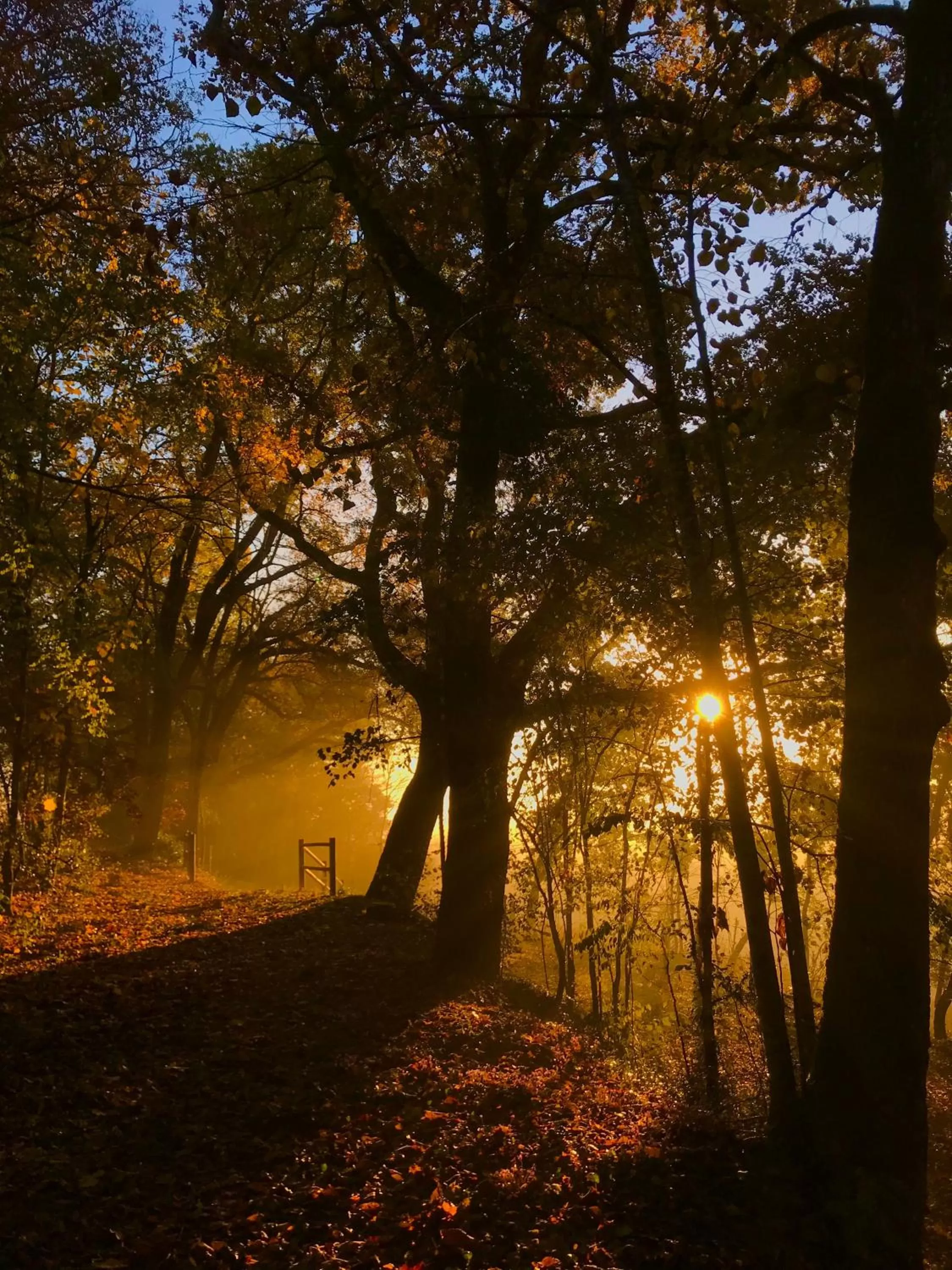 Maison D'hôtes Sainte-Marie