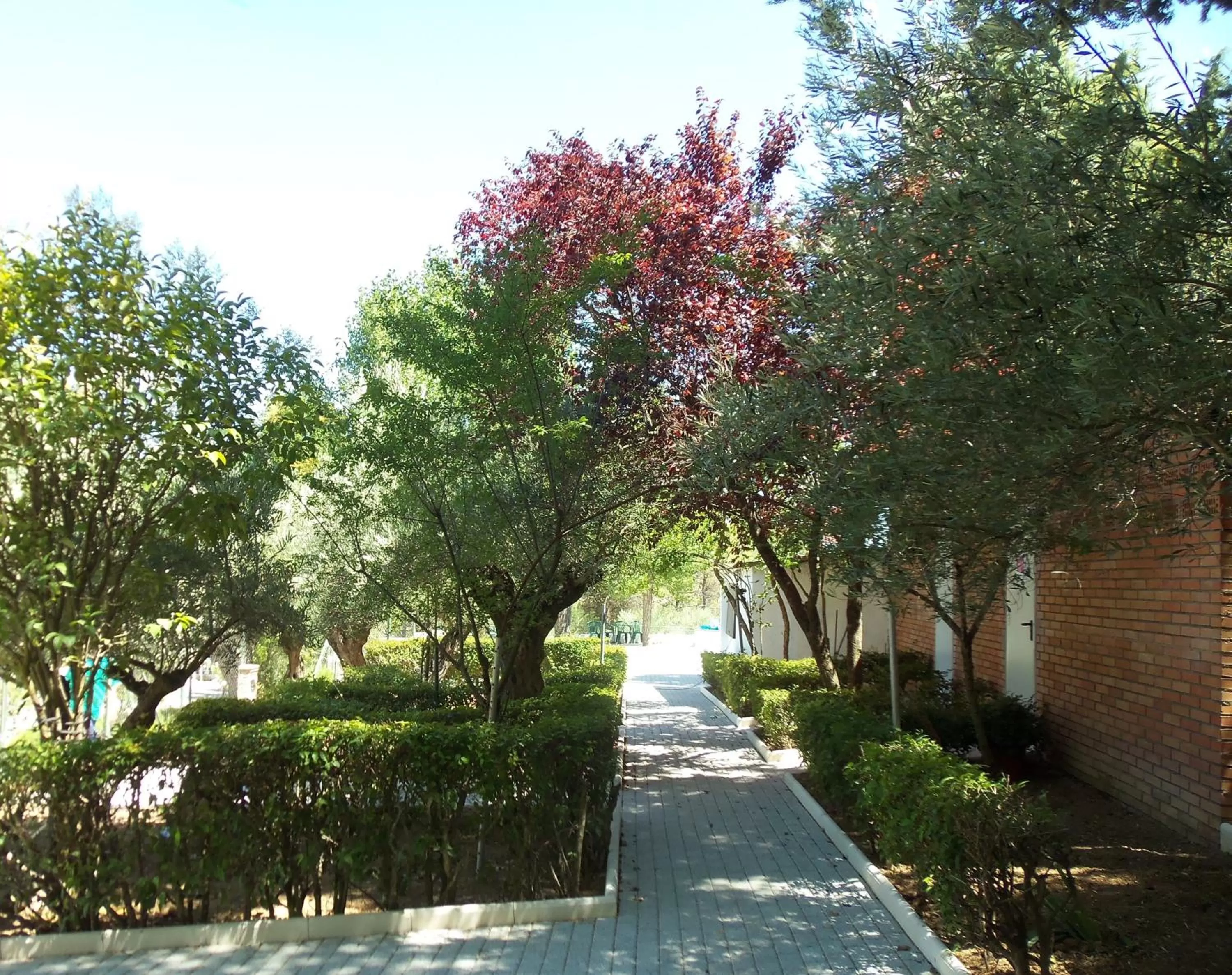 Garden in La Fuensanta Hostal-Rural