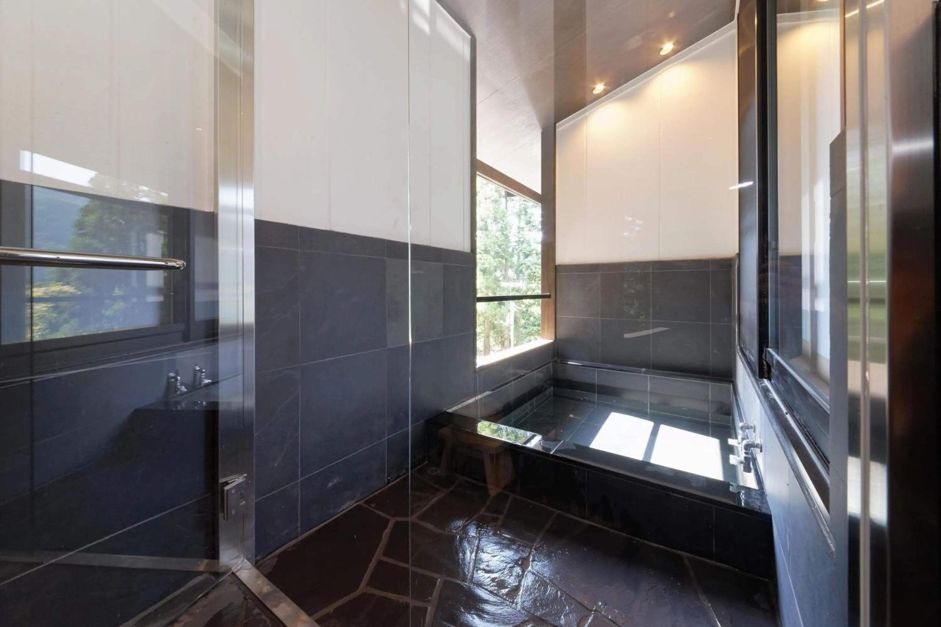 Shower in Susukinohara Ichinoyu