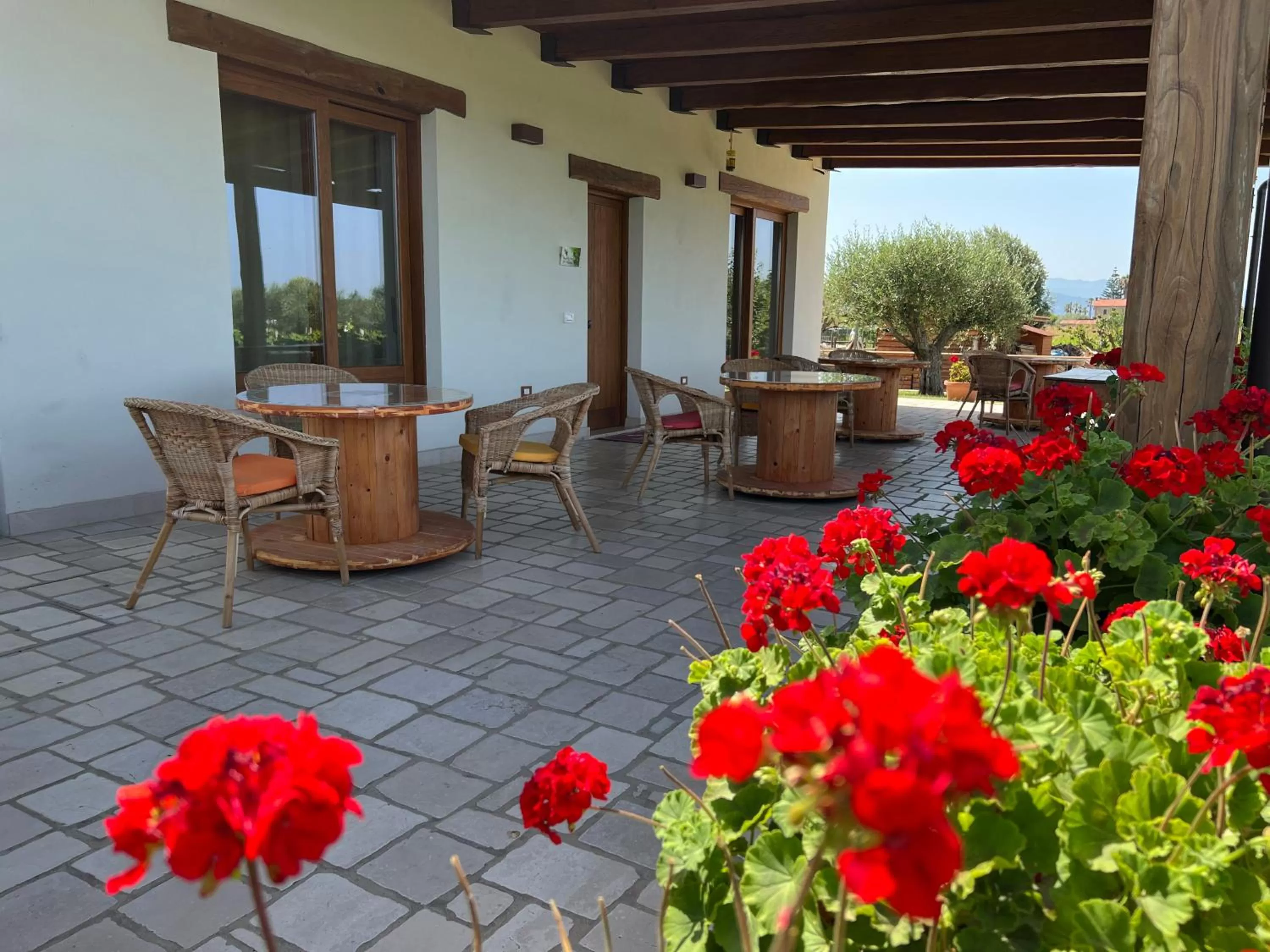 B & B Vigna Di Filippo - Paestum