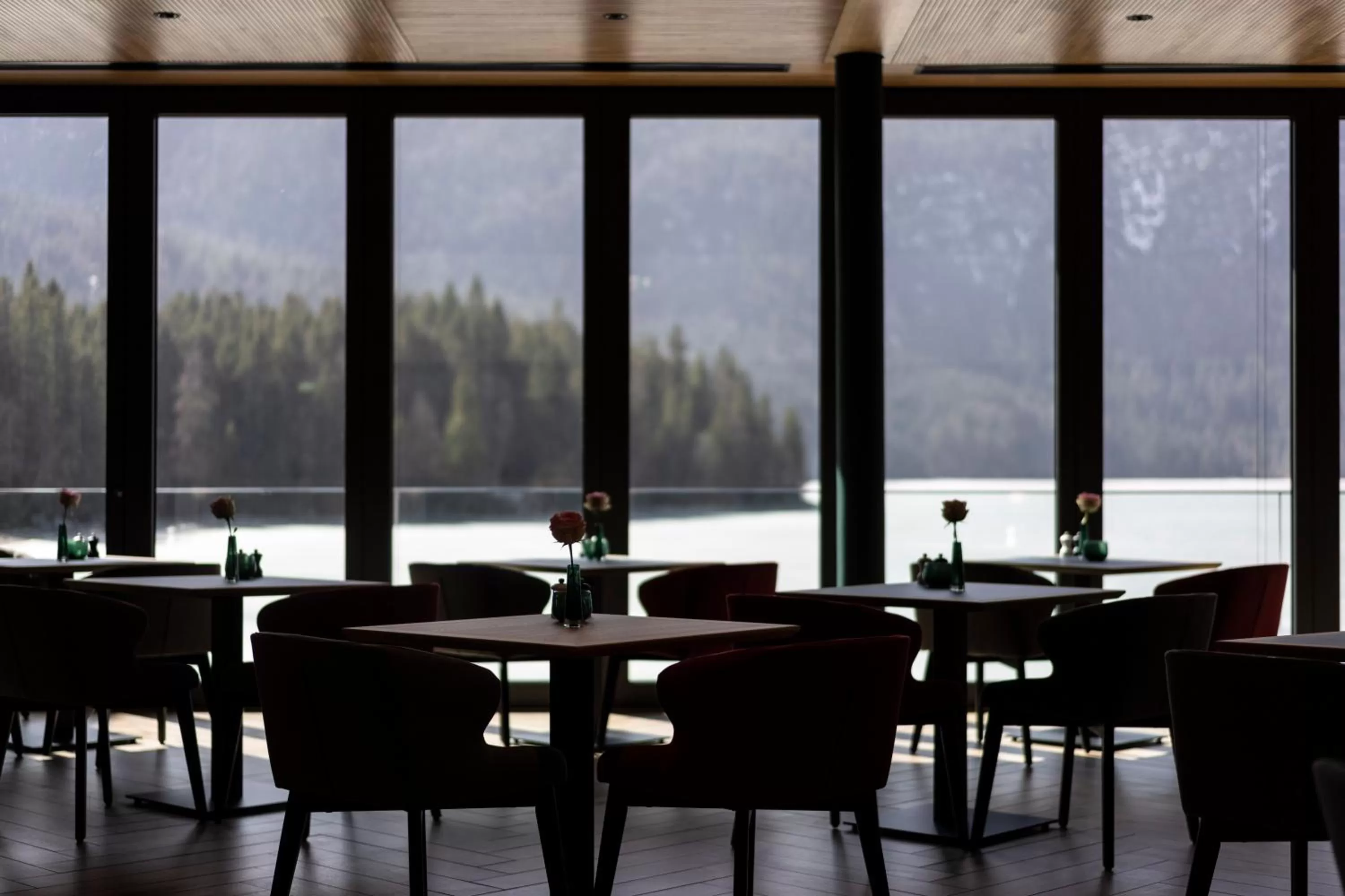 Restaurant/places to eat in Eibsee Hotel