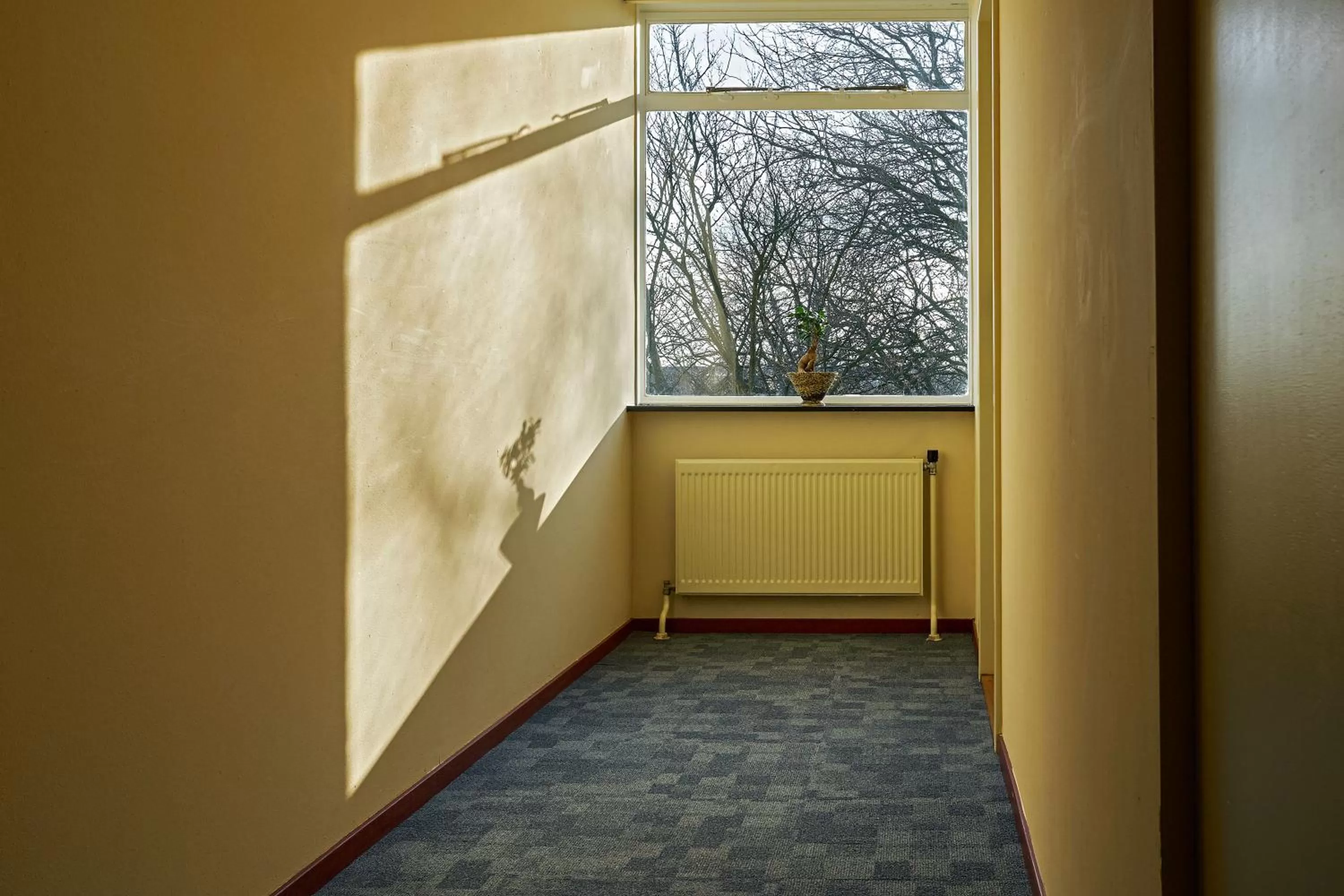 Day in Pension Homeland