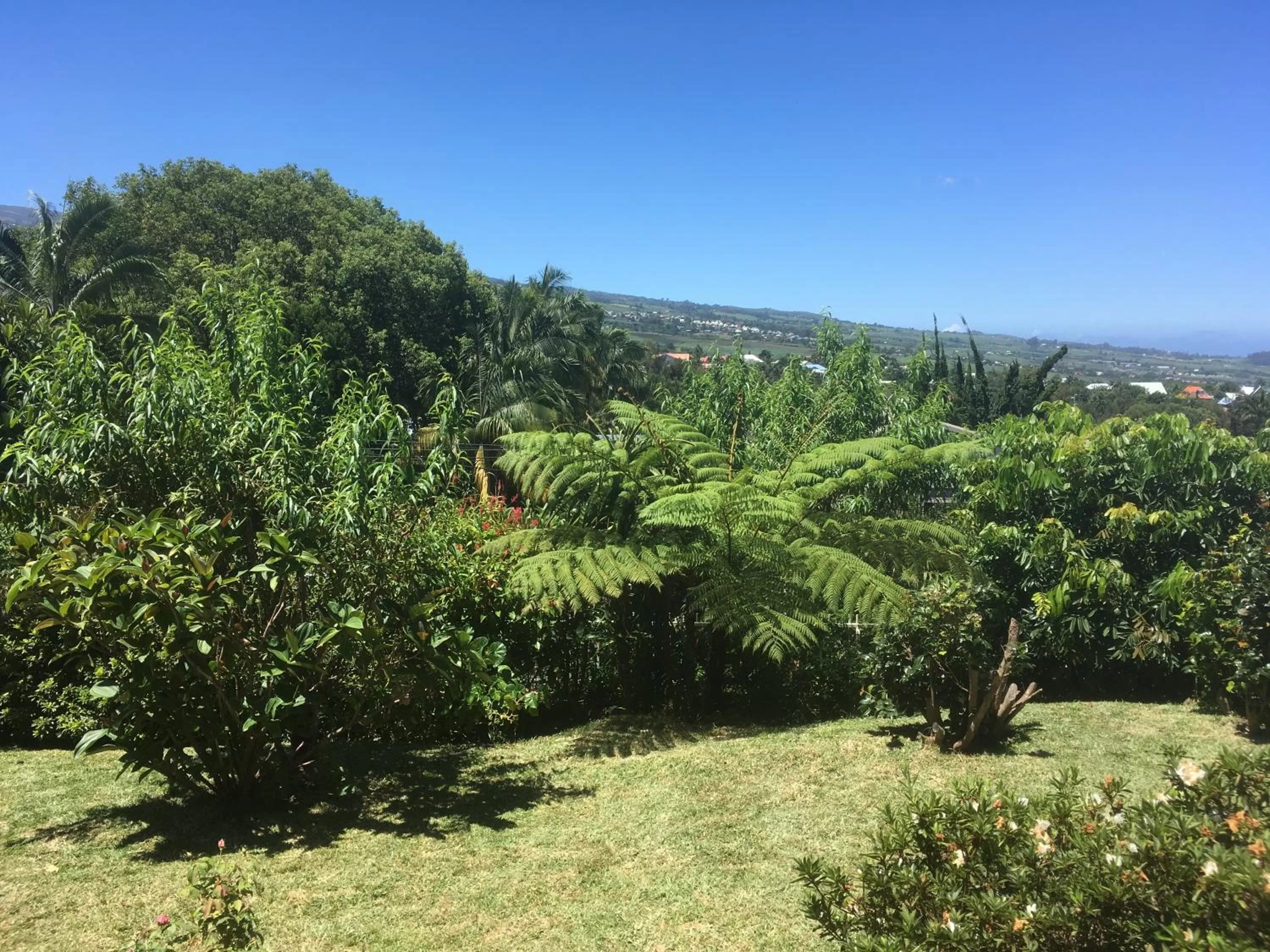 Garden in Caloupilé