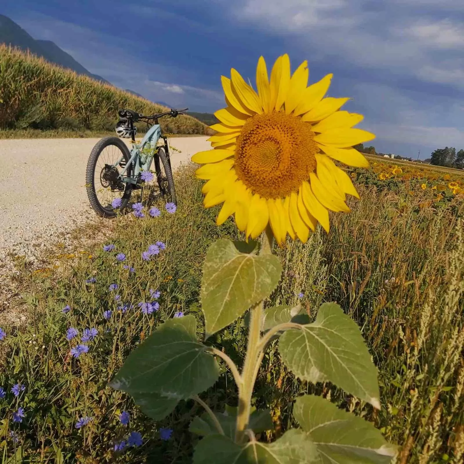 BikeSki family hotel, b&b, apartaments, rooms