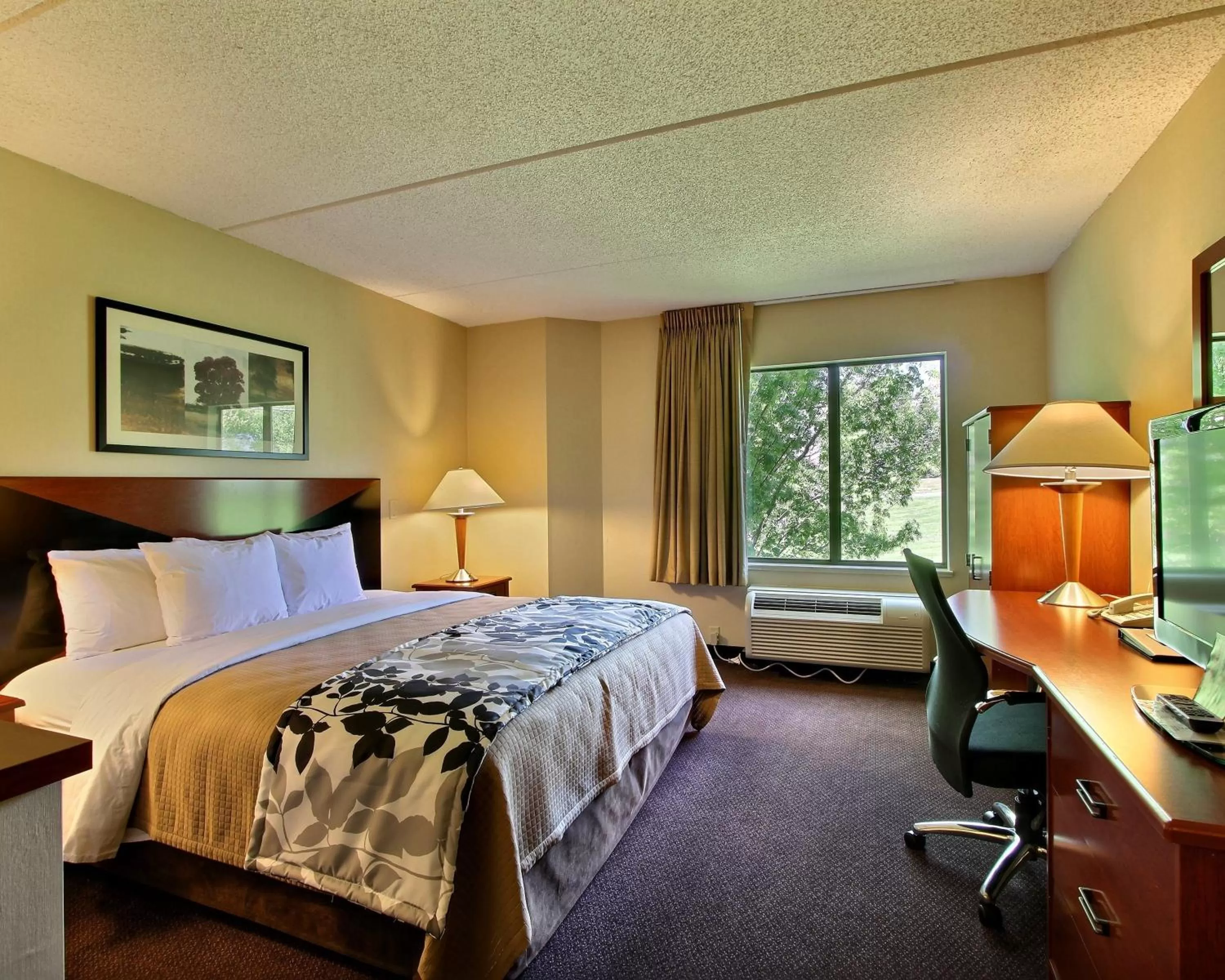 King Room - Non-Smoking in Sleep Inn & Suites of Lancaster County