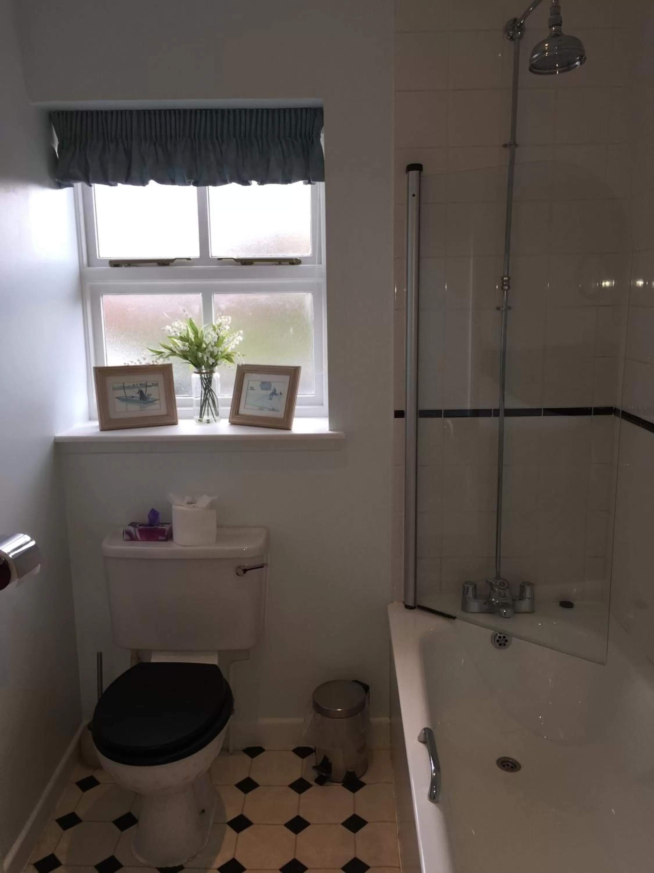 Toilet in The Ship Inn