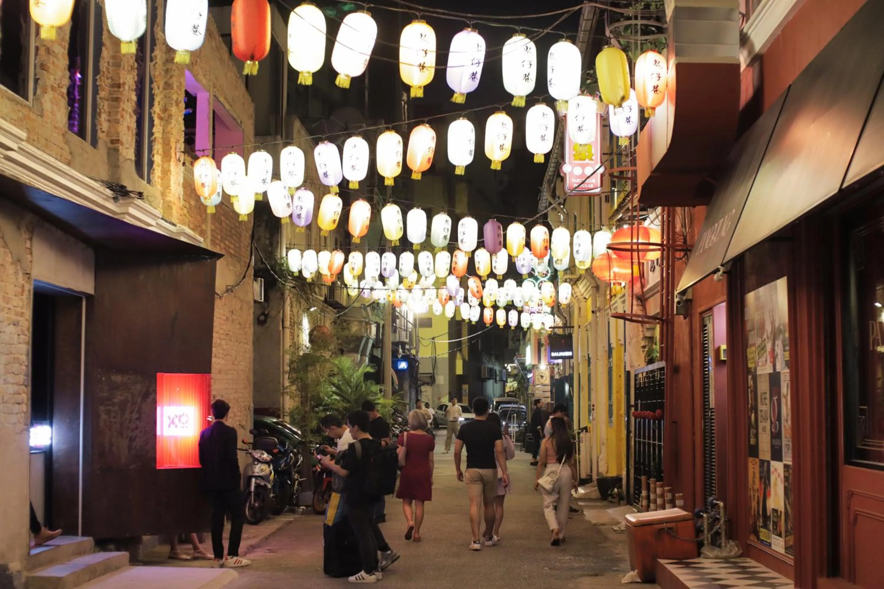 Night in Rain Forest Hotel