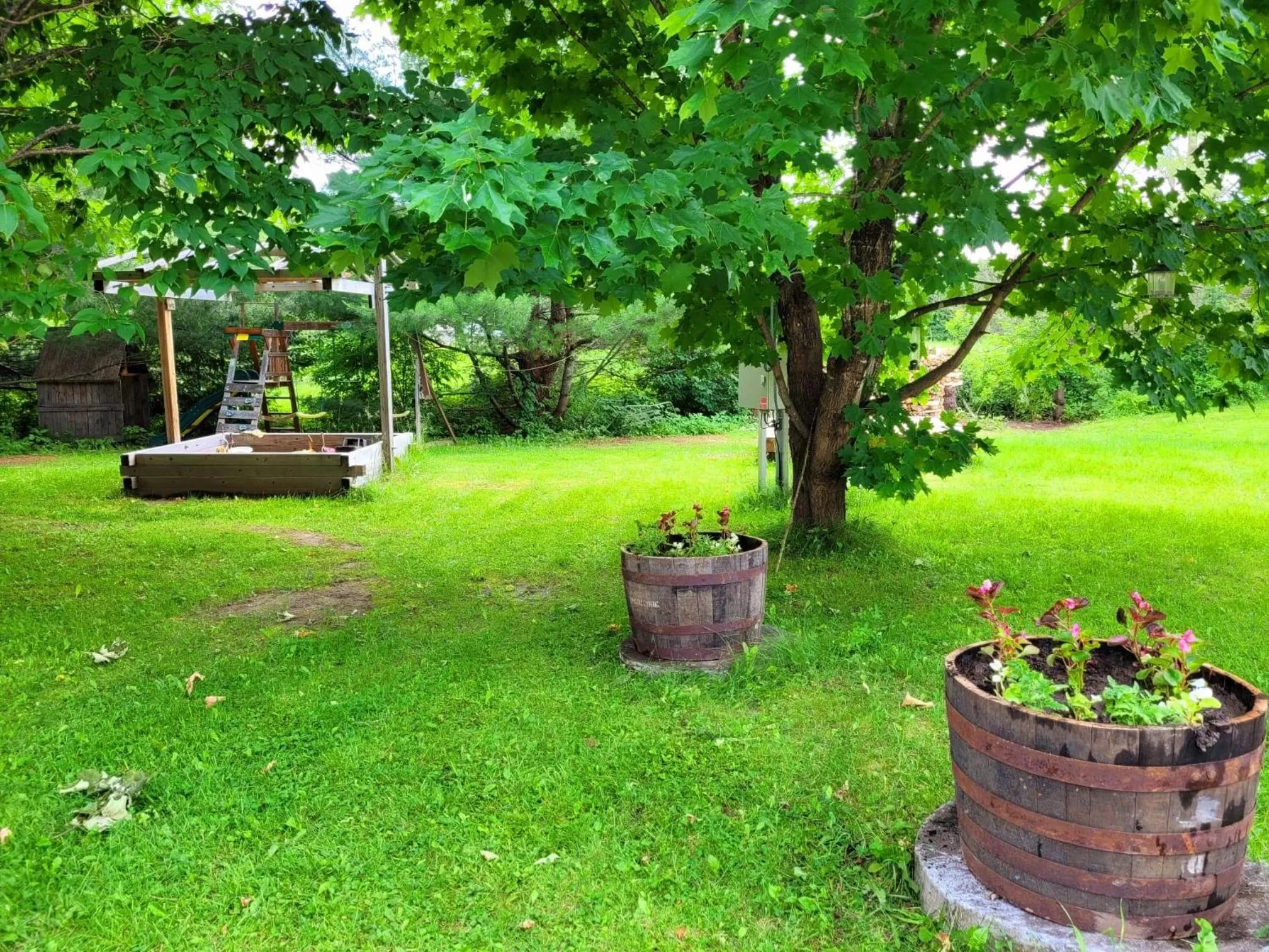 Garden in Motel Abricafé