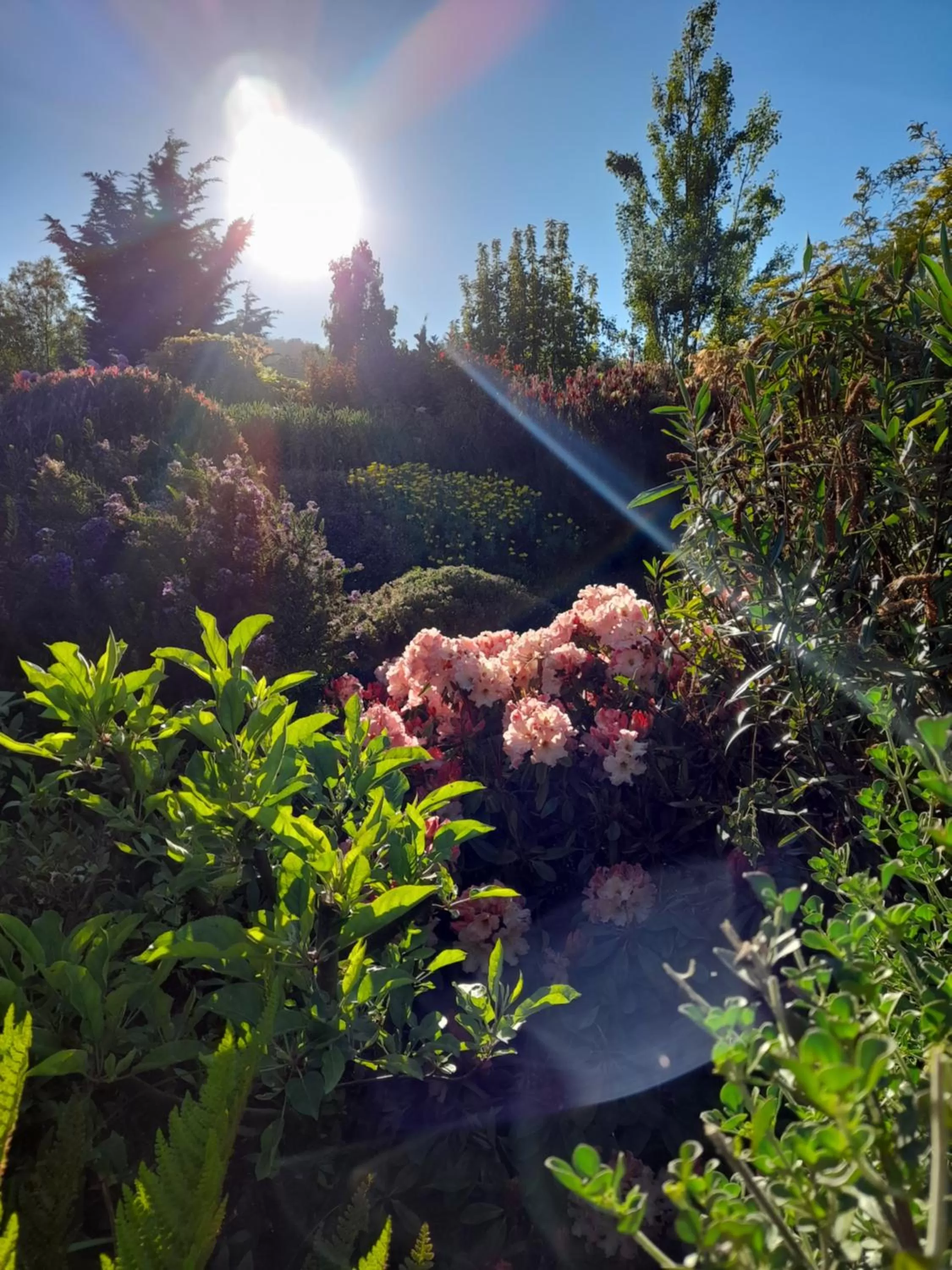 Hillside Bed and Breakfast