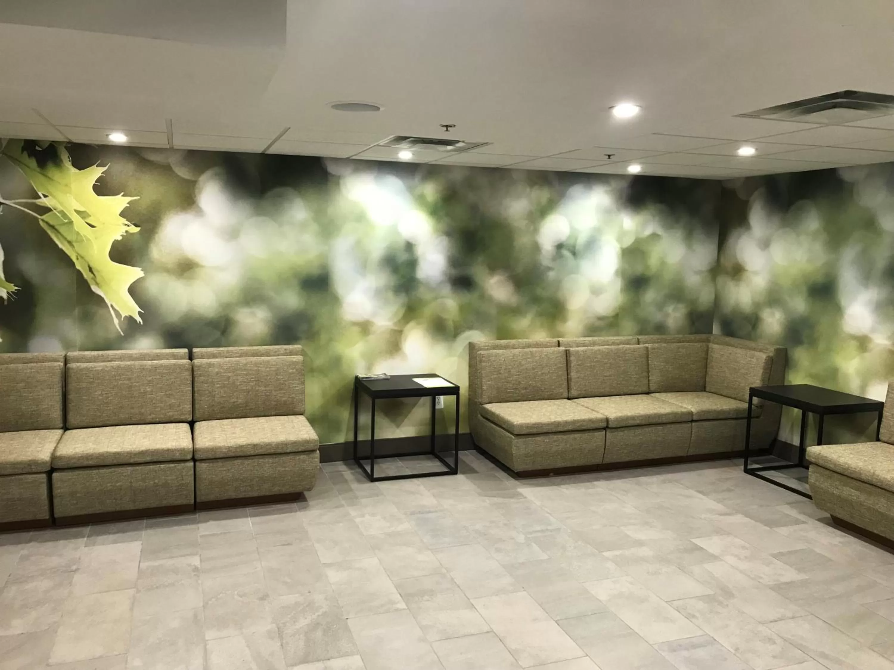 Lobby or reception in Wyndham Garden Marietta Atlanta North